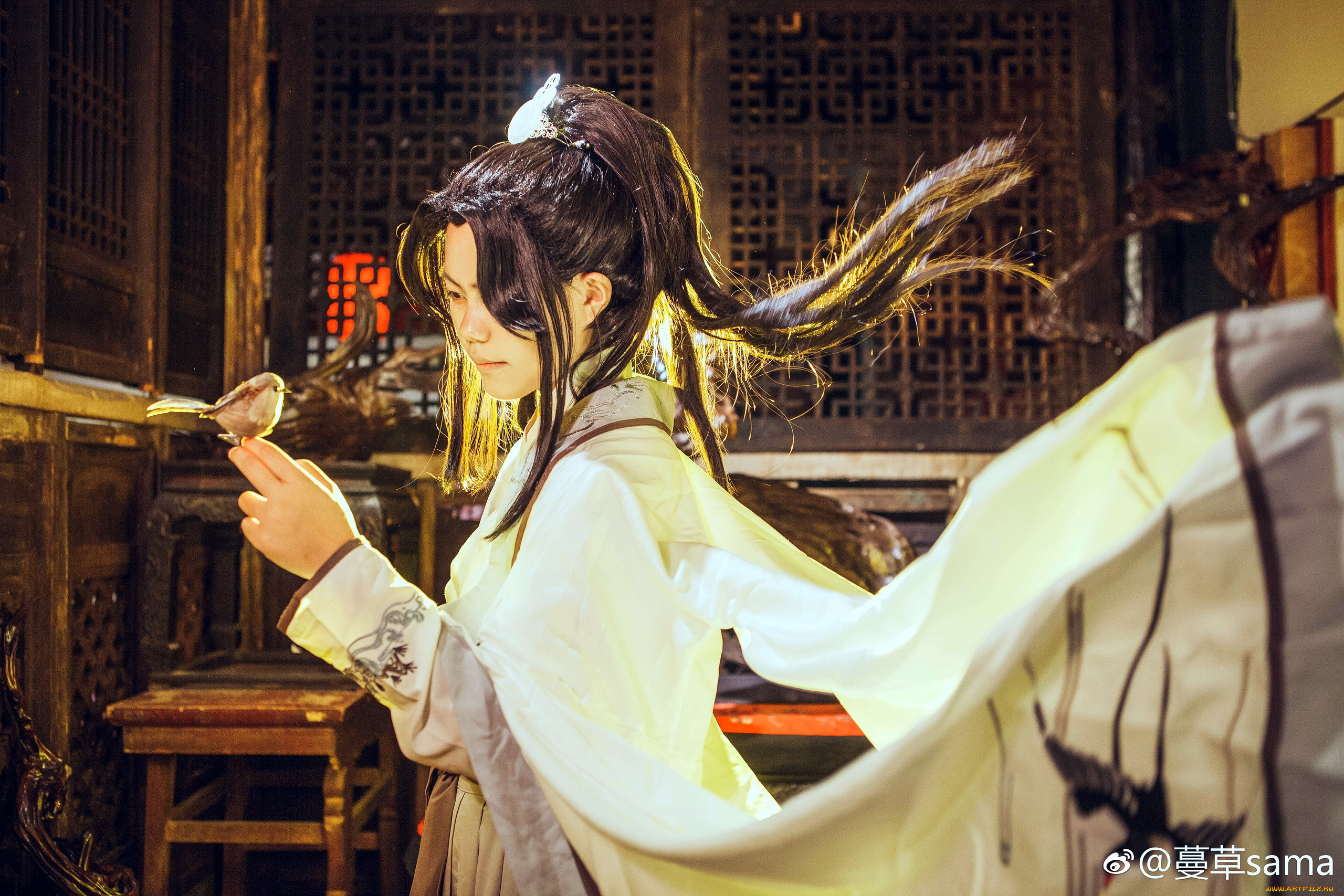 девушки, -, креатив, , косплей, костюм, птица, комната