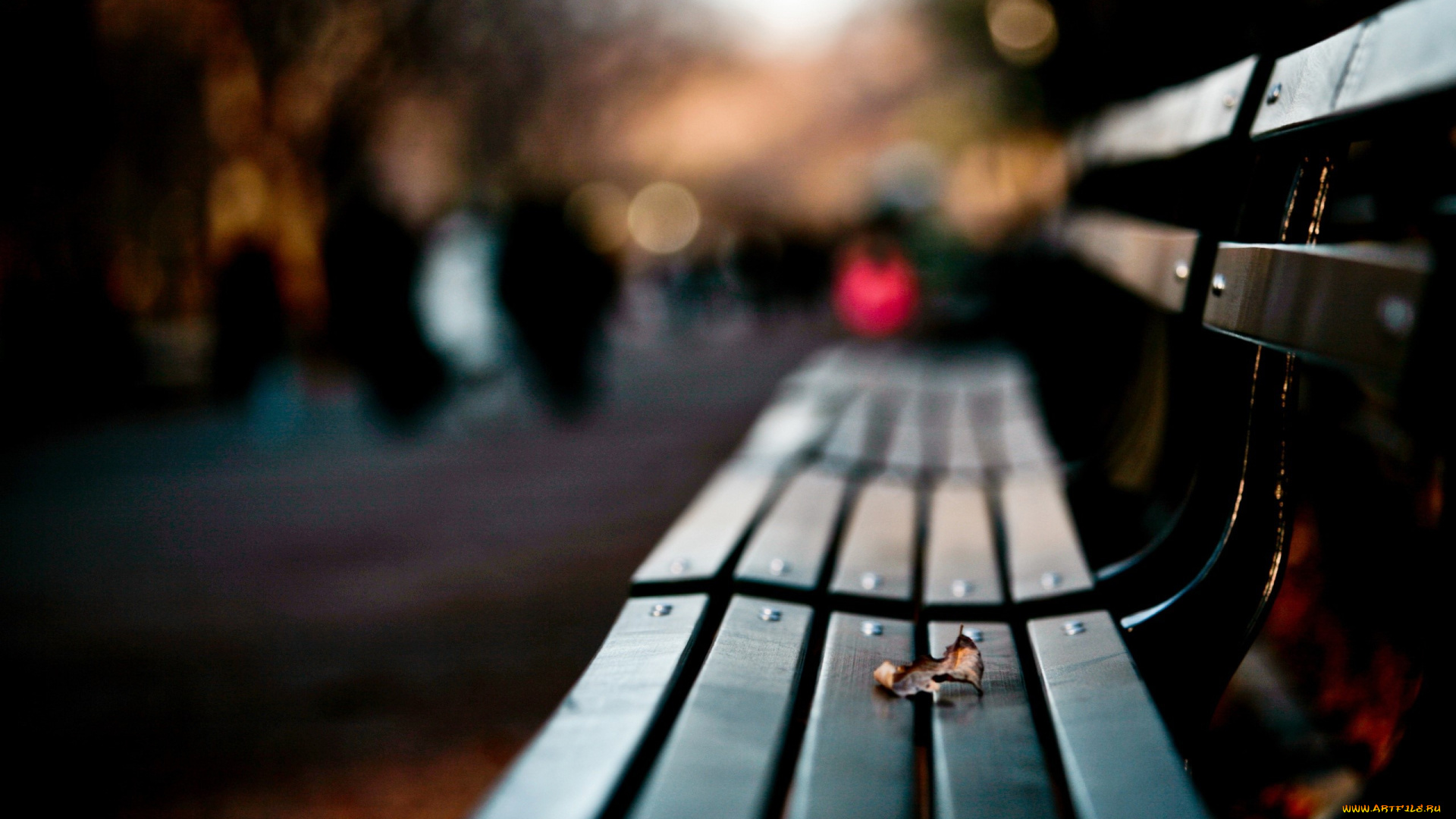 разное, -, другое, скамейка, парк