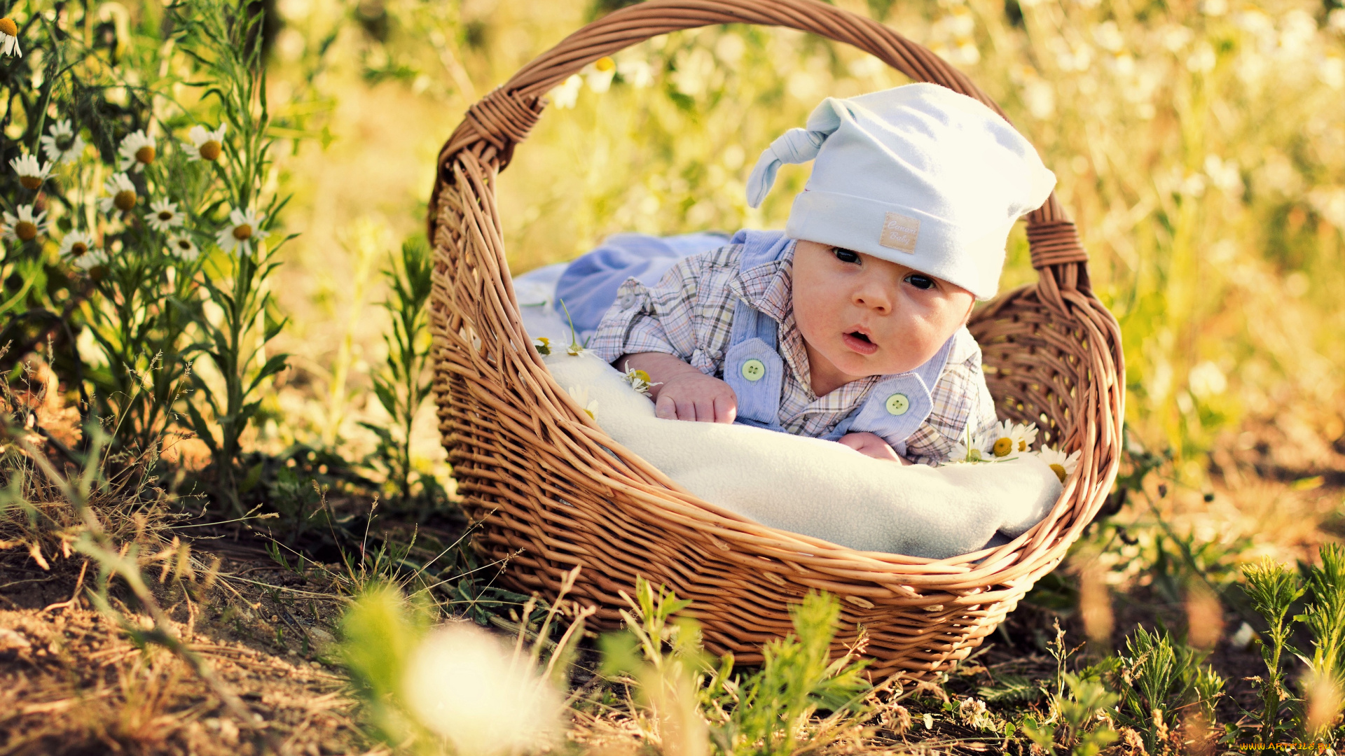 разное, дети, ребенок, корзина