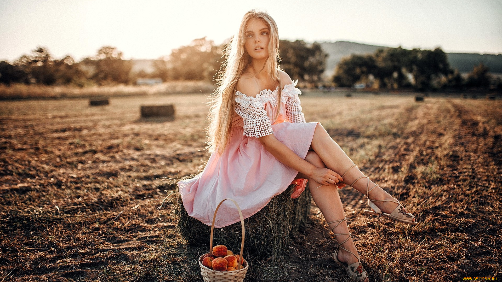 девушки, -, блондинки, , светловолосые, блондинка, платье, корзина, поле