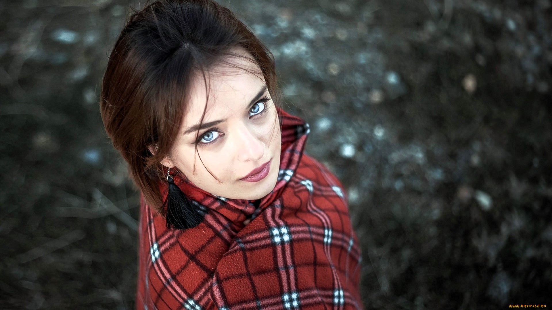 девушки, -, лица, , портреты, шатенка, лицо, плед