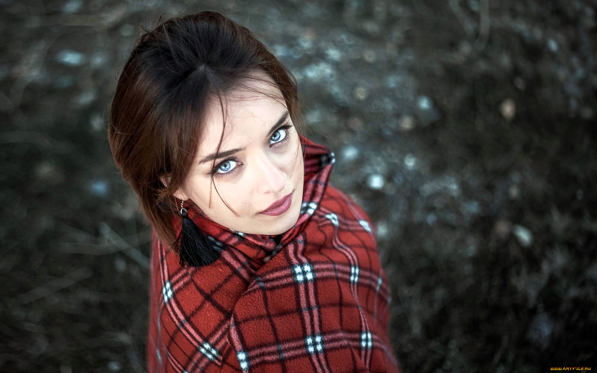 девушки, -, лица, , портреты, шатенка, лицо, плед