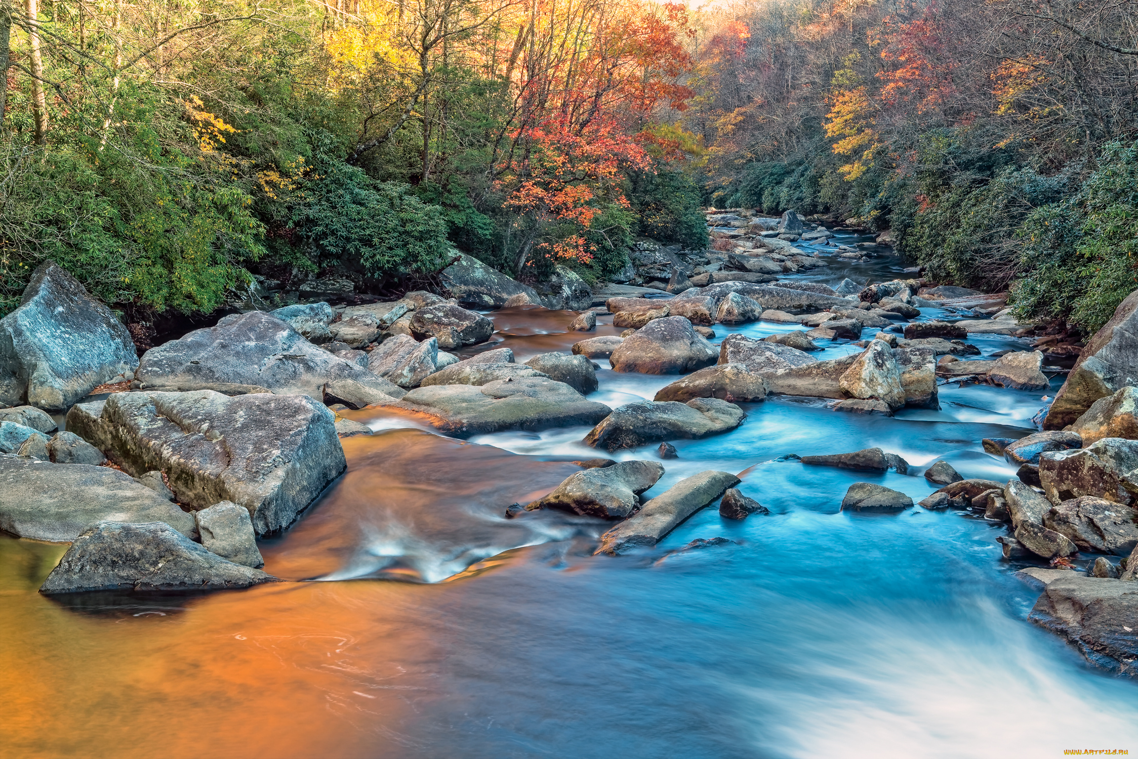природа, реки, озера, пейзаж