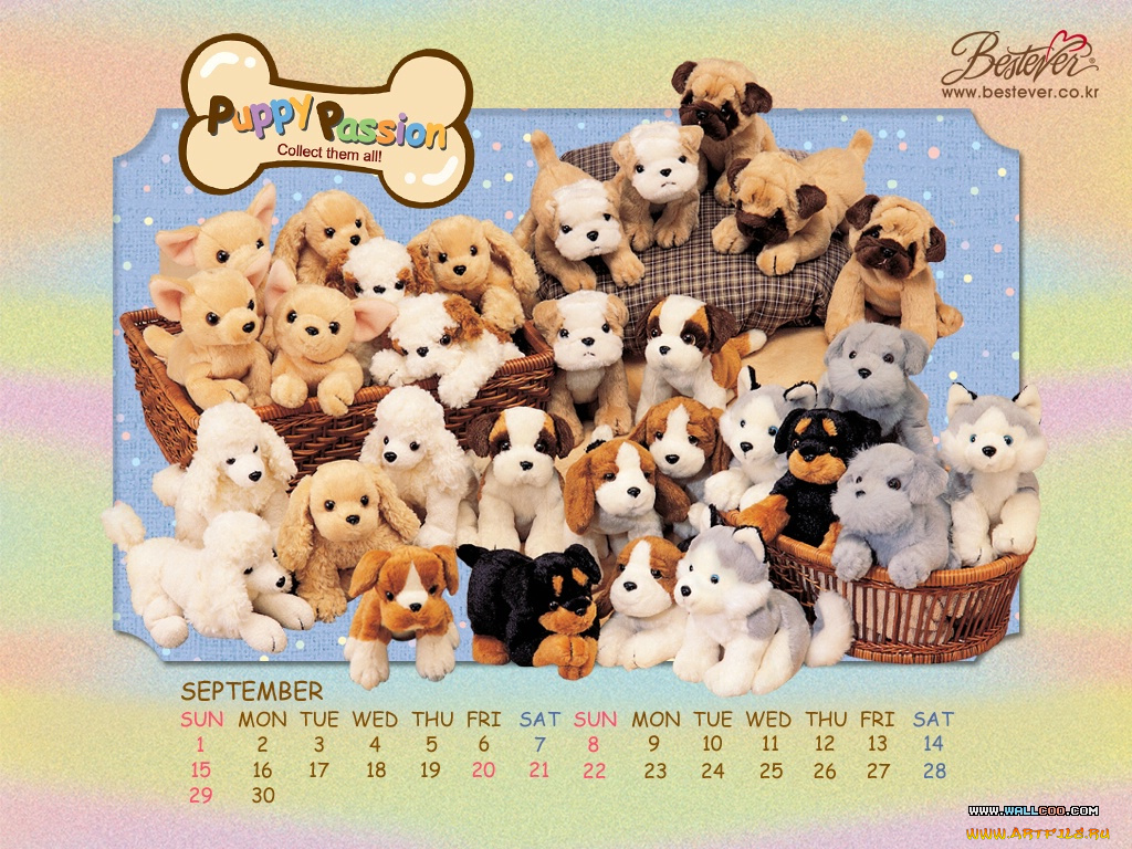 бренды, bestever