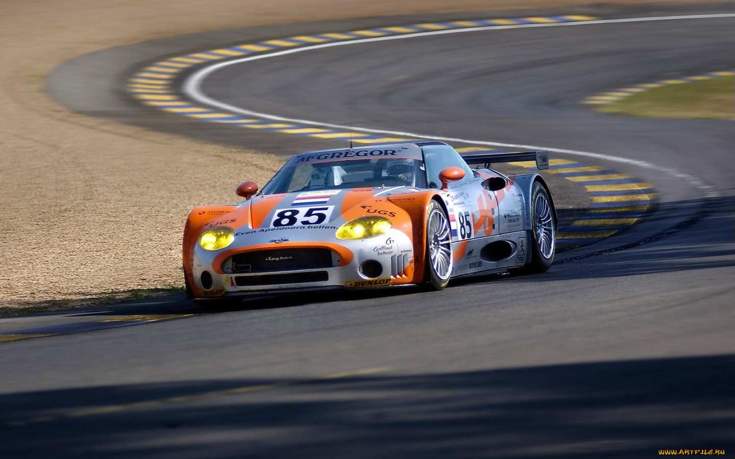 spyker, c8, spyder, gt2r, спорт, автоспорт