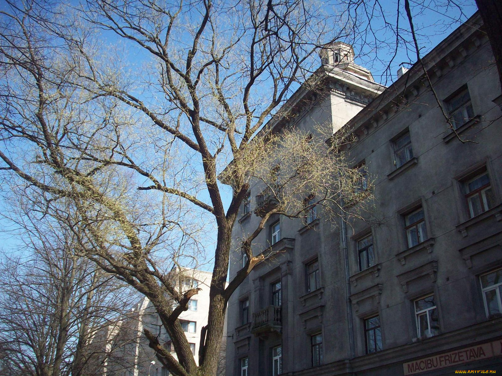 рига, города, латвия