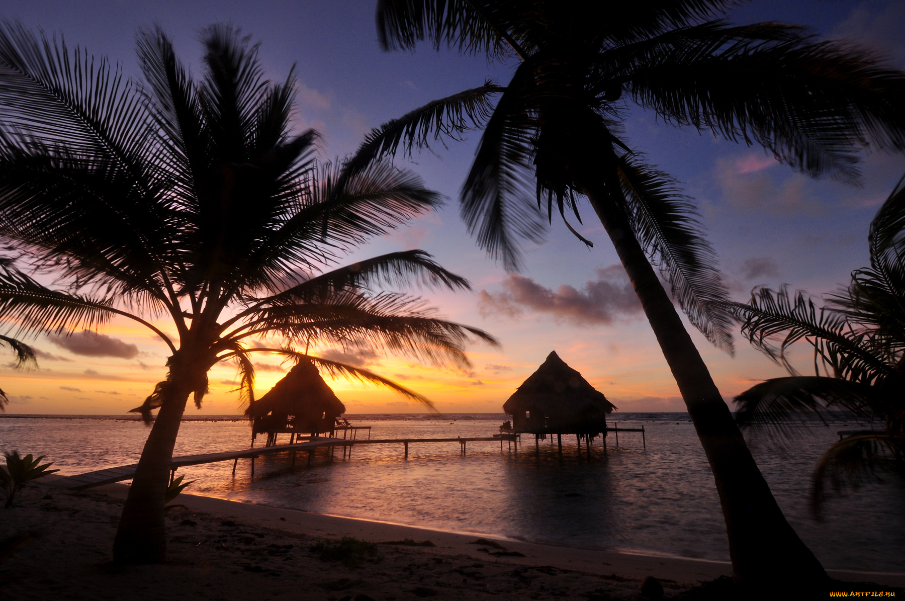 природа, тропики, пальмы, пляж, бунгало, вечер, отдых, побережье, берег, океан