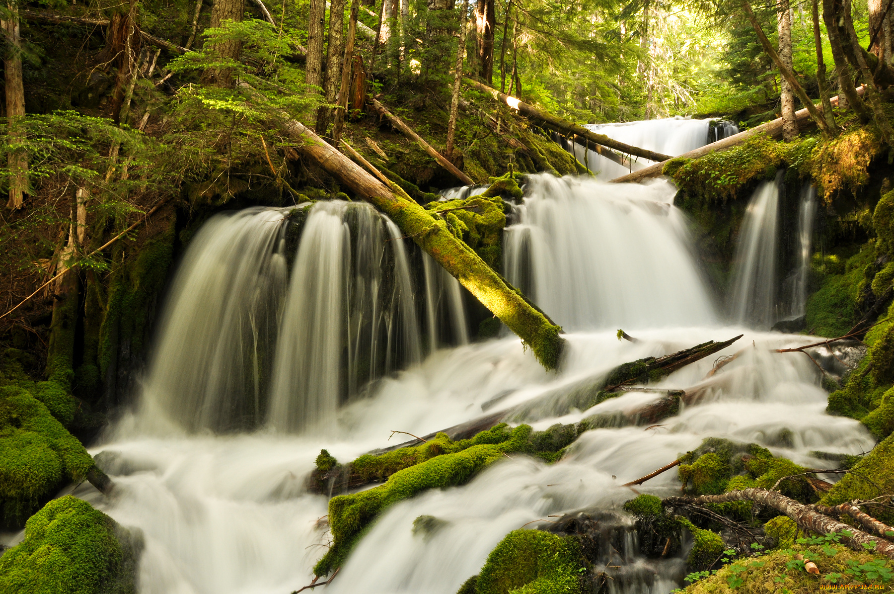 природа, водопады, поток, вода