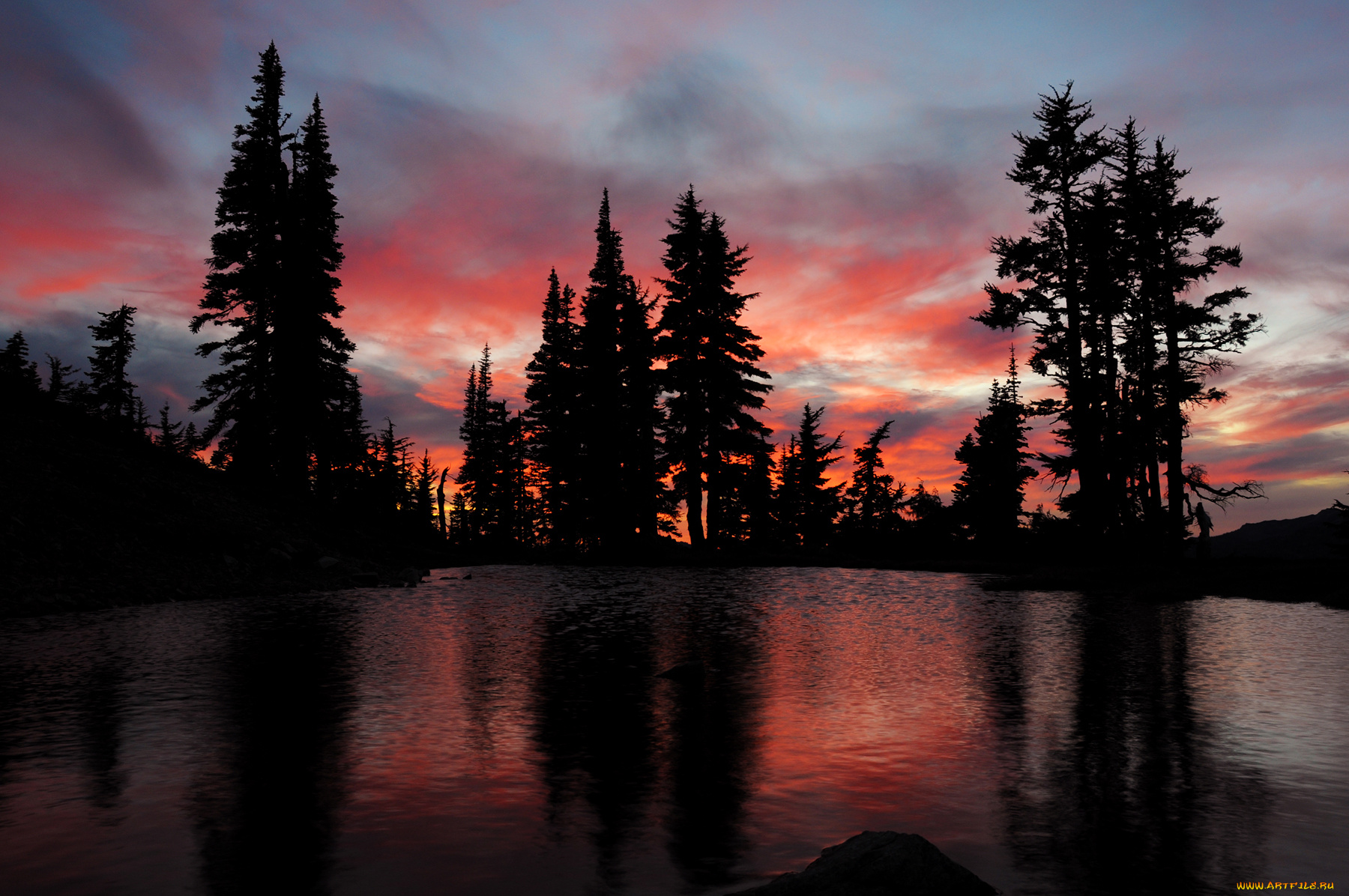 природа, восходы, закаты, деревья, ночь