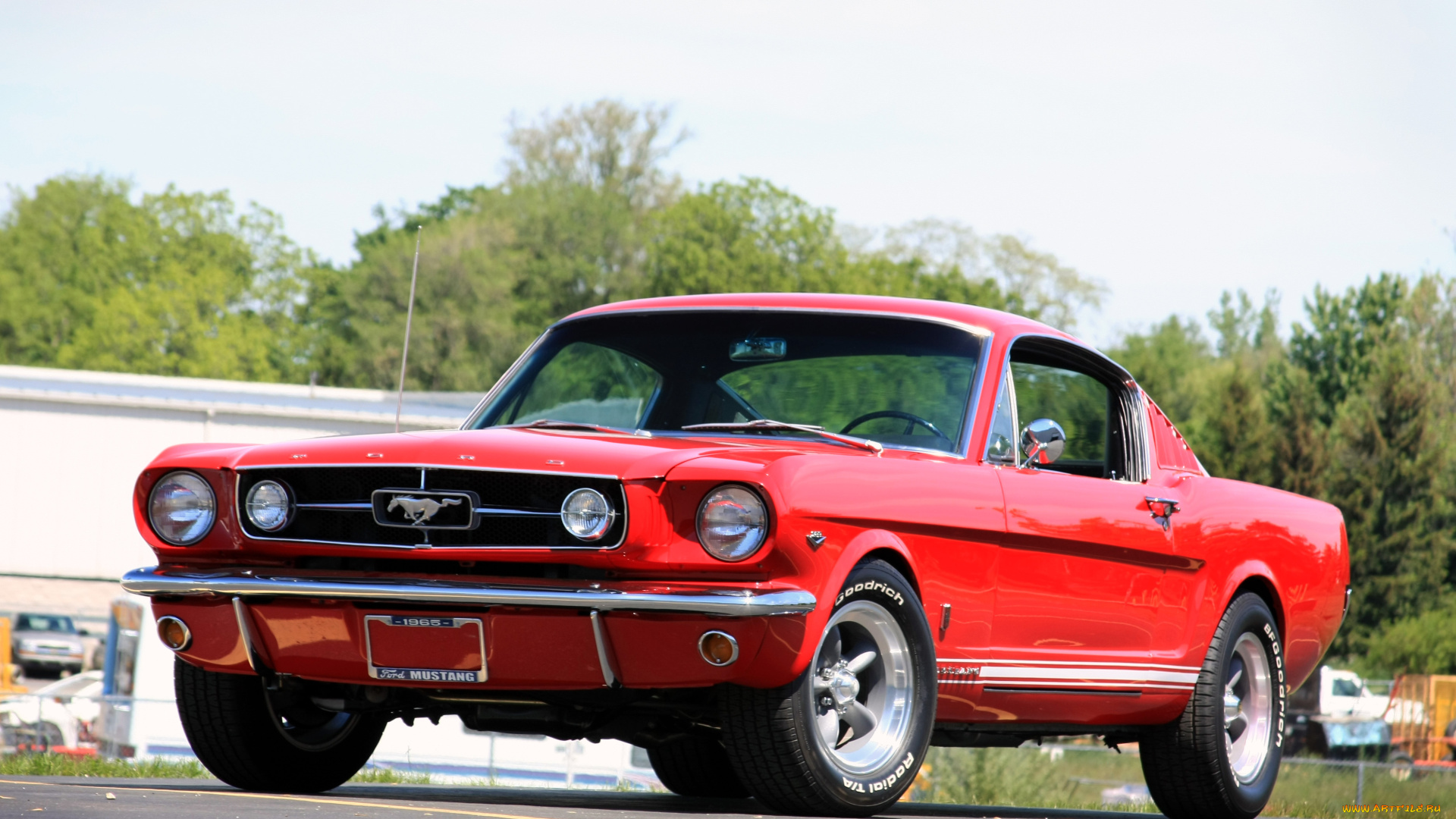 автомобили, mustang