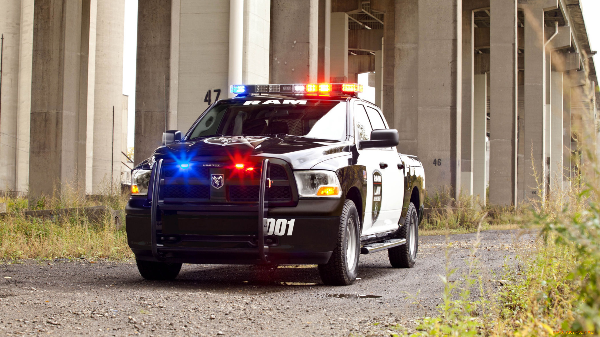 автомобили, полиция, auto