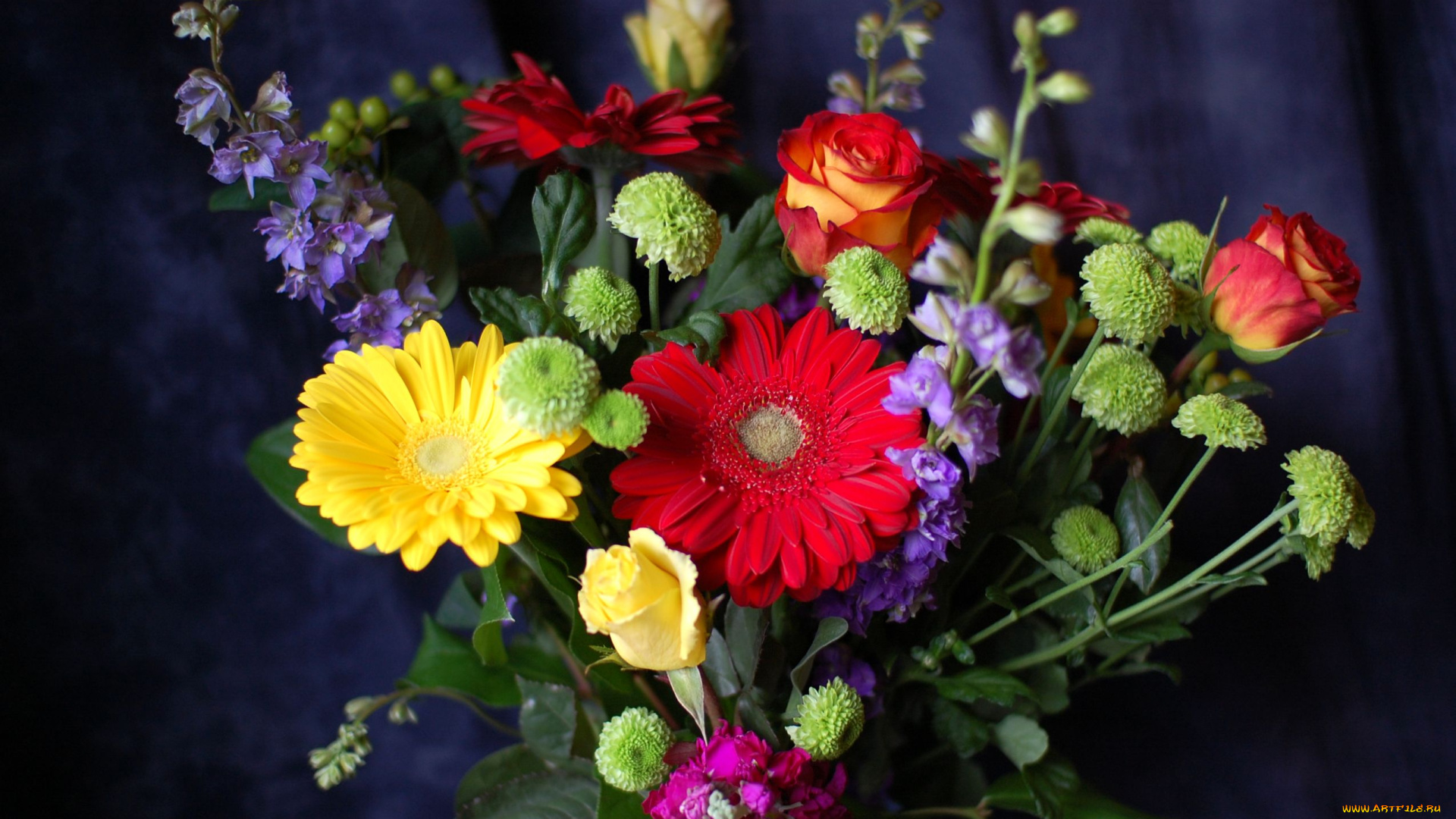цветы, букеты, композиции, герберы, левкой, хризантемы, розы