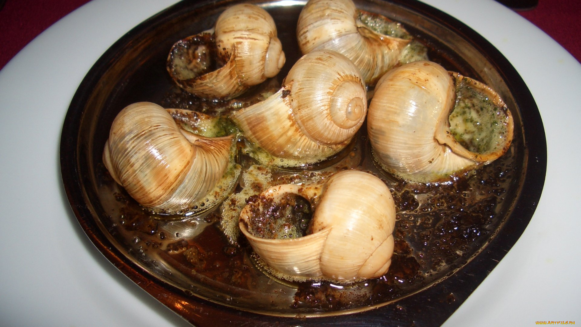 еда, рыба, морепродукты, суши, роллы, устрицы