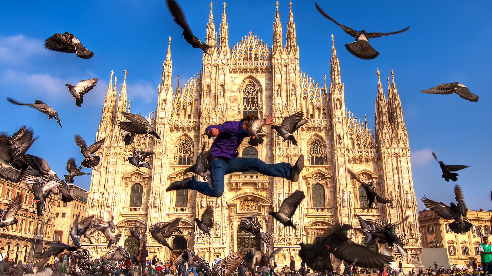 города, католические, соборы, костелы, аббатства, прыжок, голуби, милан