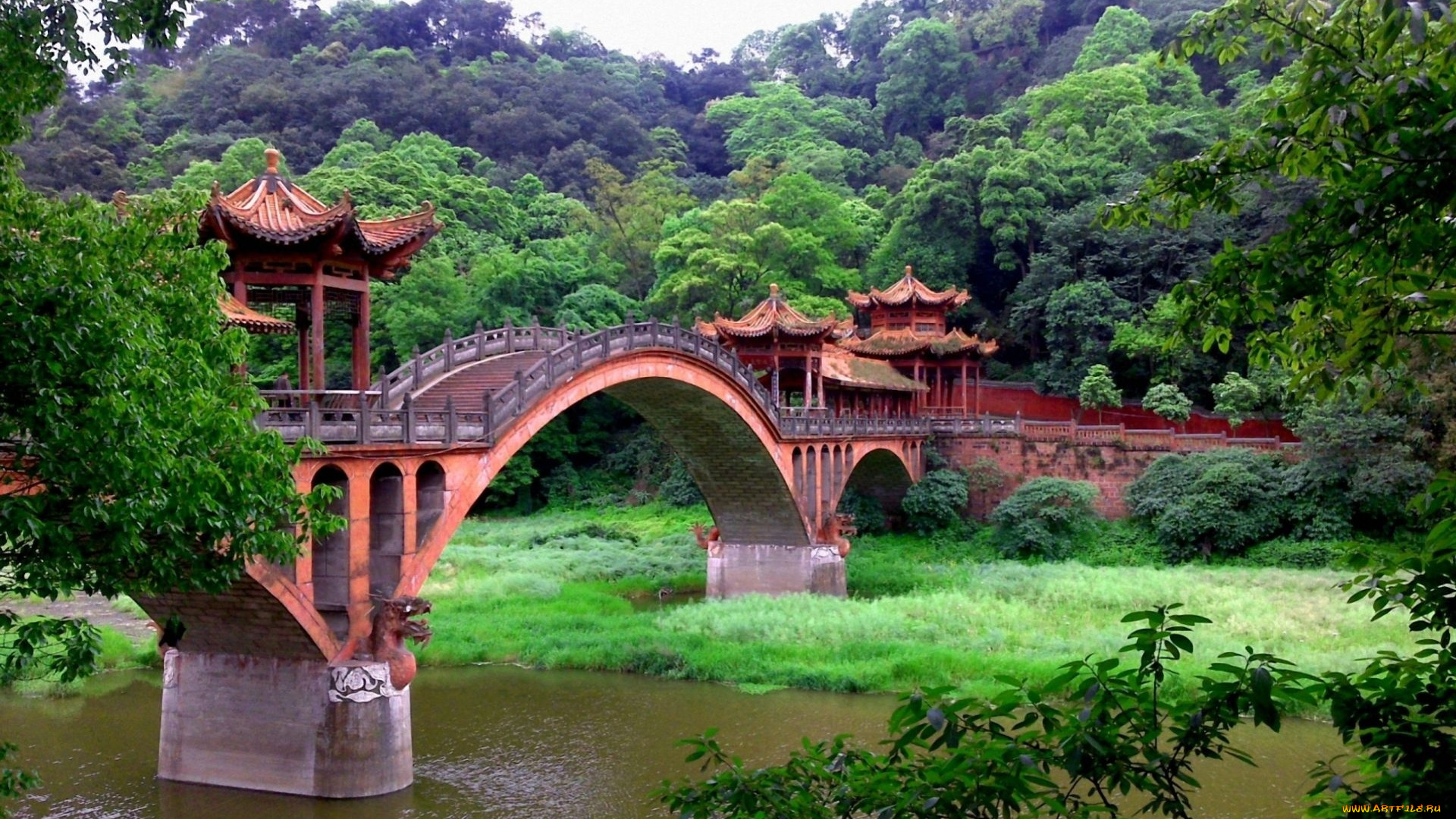 города, мосты, в, джунглях, мостик, китайский