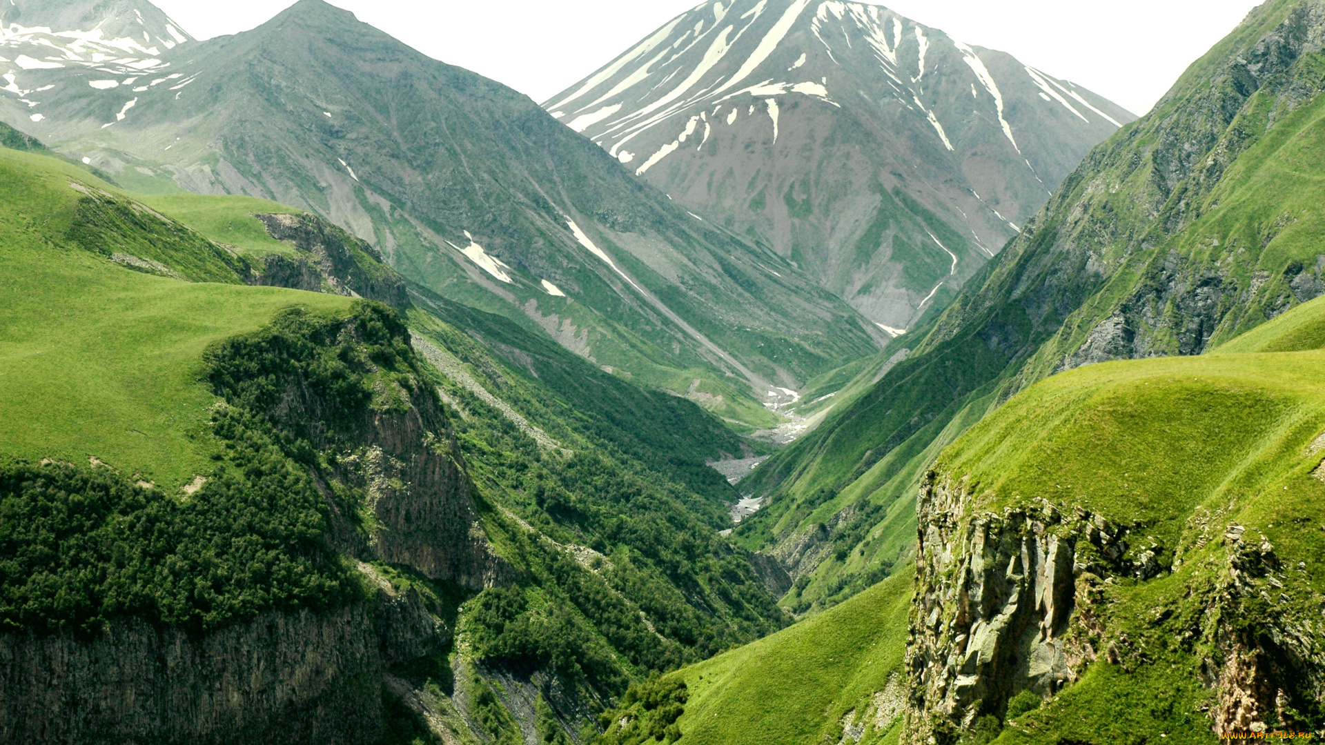 природа, горы, деревья, лес, склон, высота, долина, простор