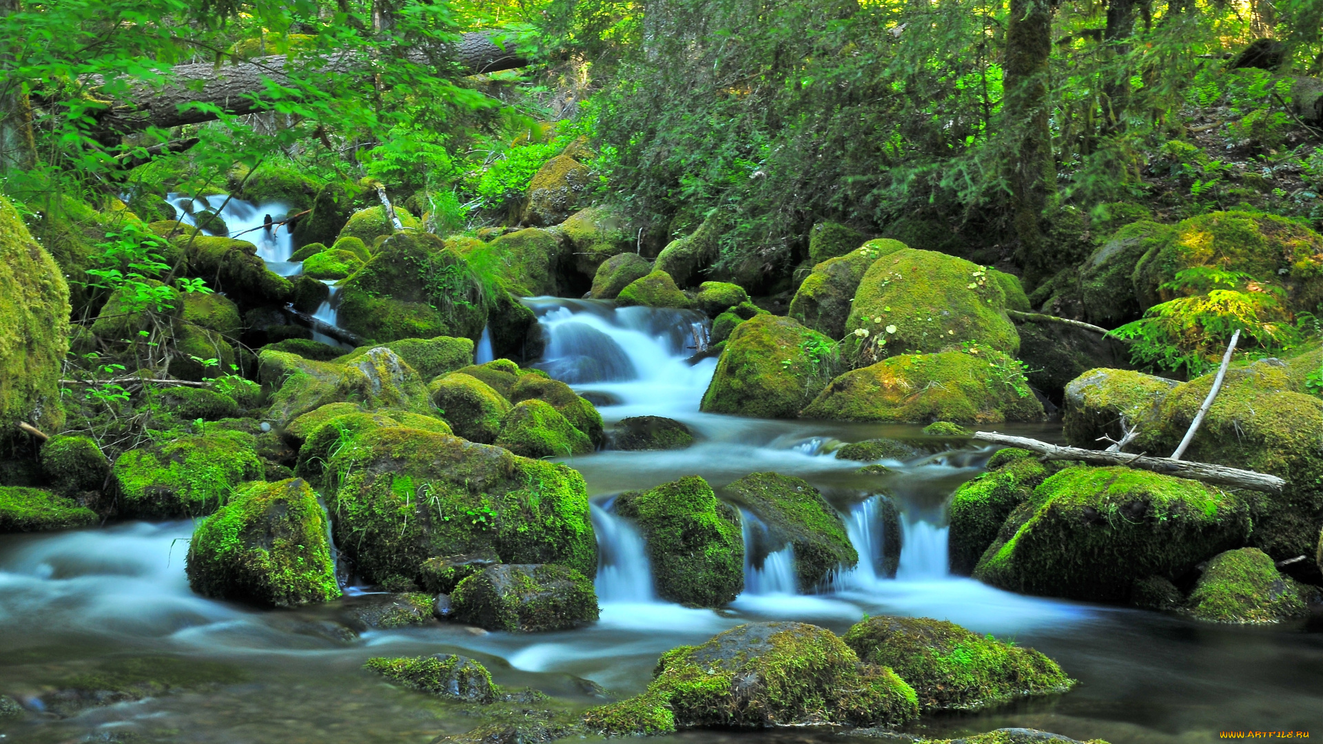природа, реки, озера, течение, вода, поток