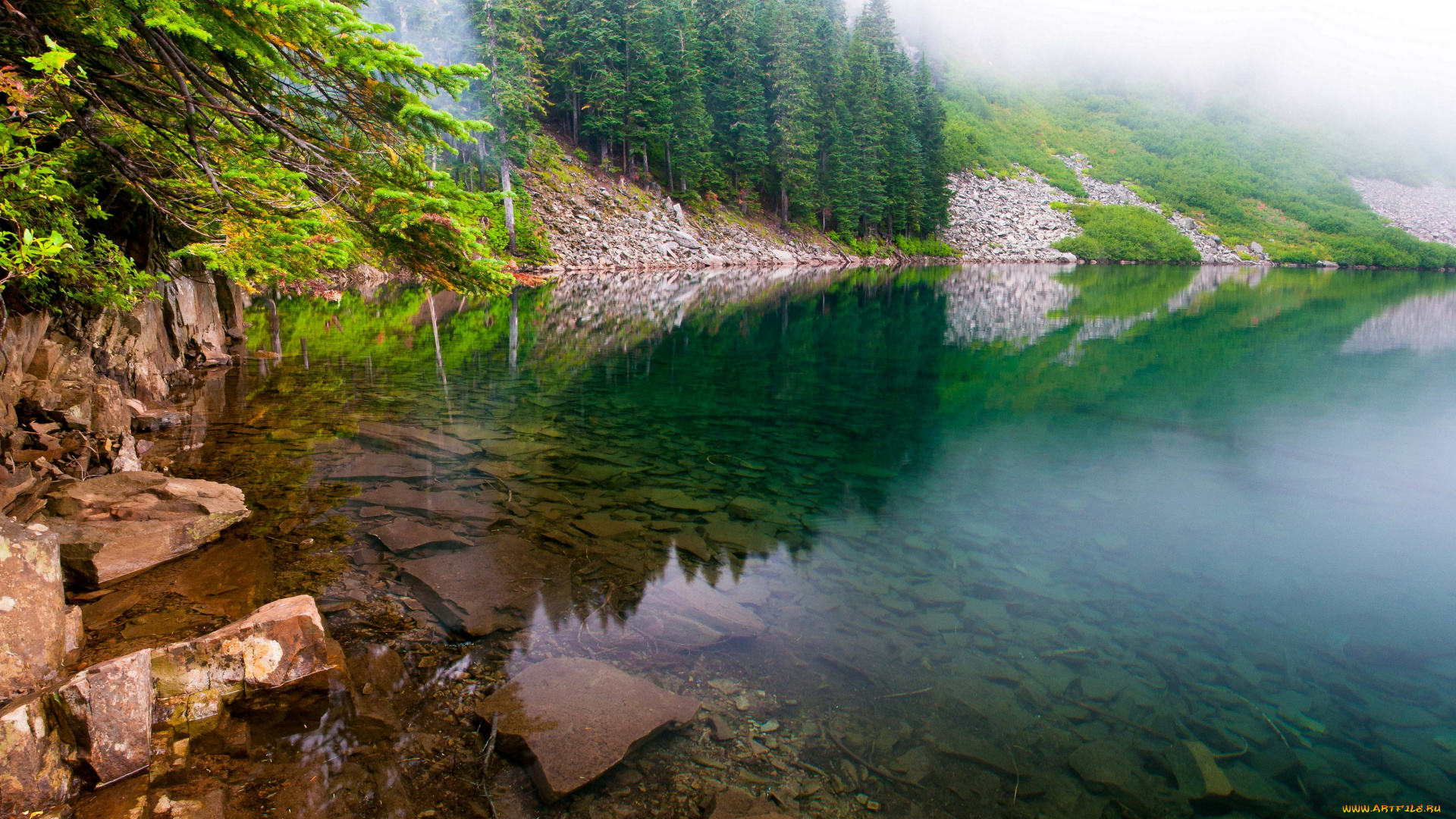 природа, реки, озера, вода, берег