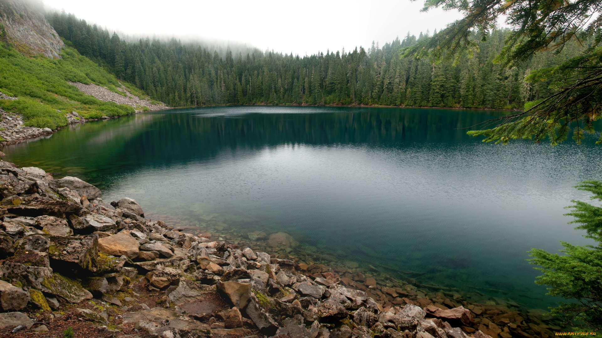 природа, реки, озера, водоём, вода