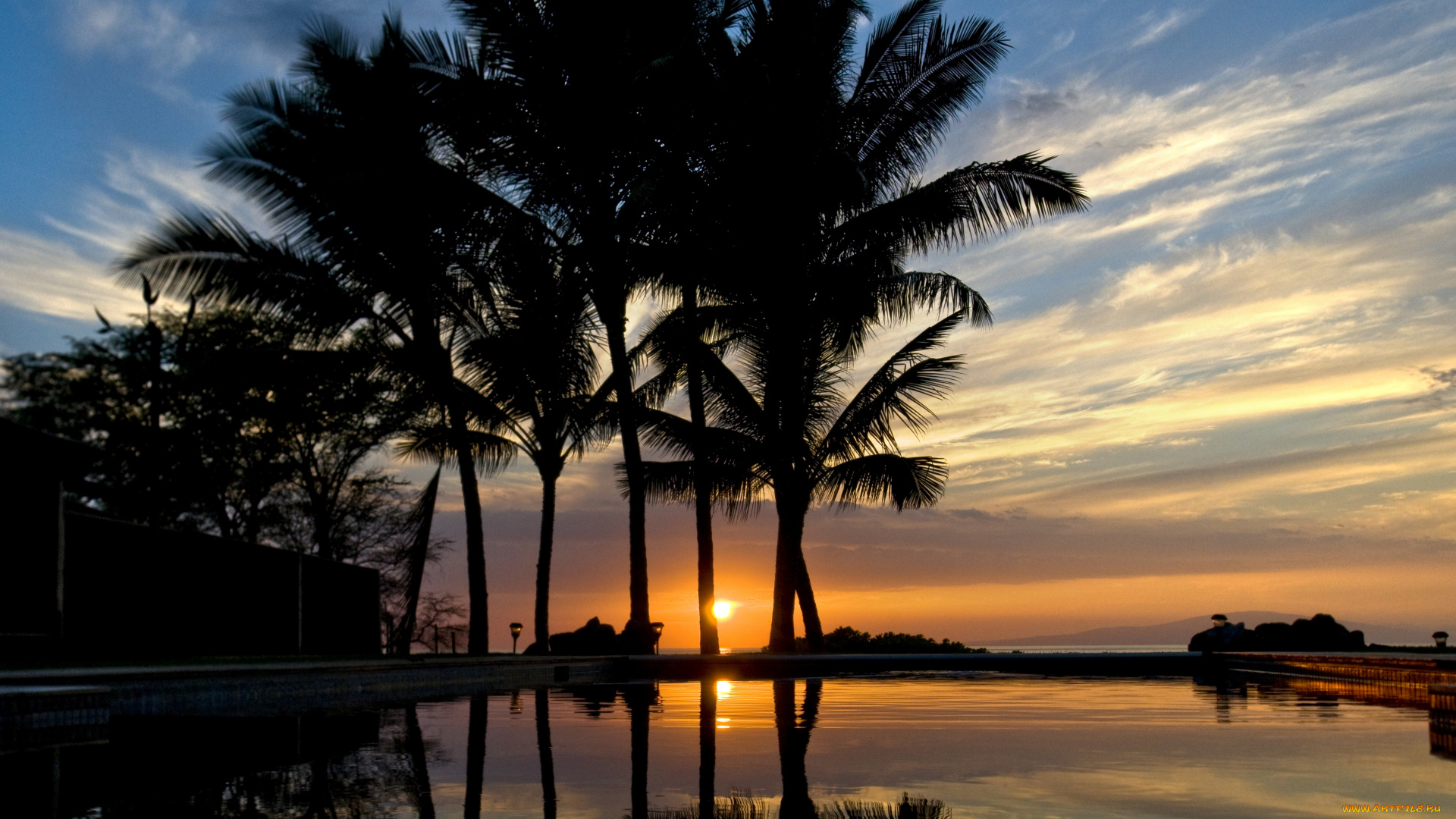 природа, тропики, солнце, море, океан, вода, вечер, пальмы