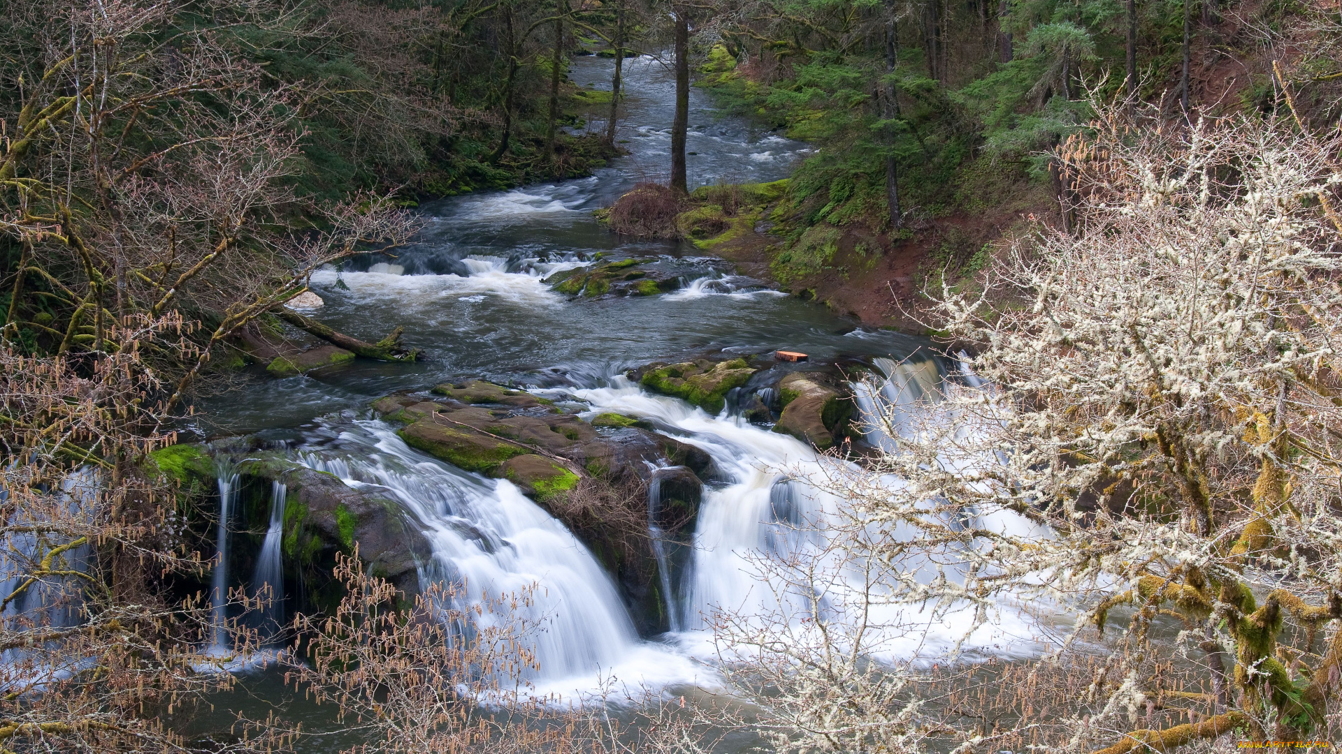 природа, водопады, лес, вода, течение