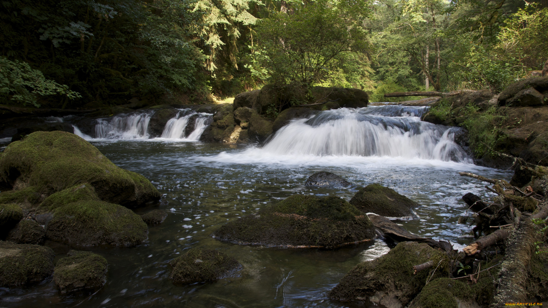 природа, водопады, поток, лес, река, течение