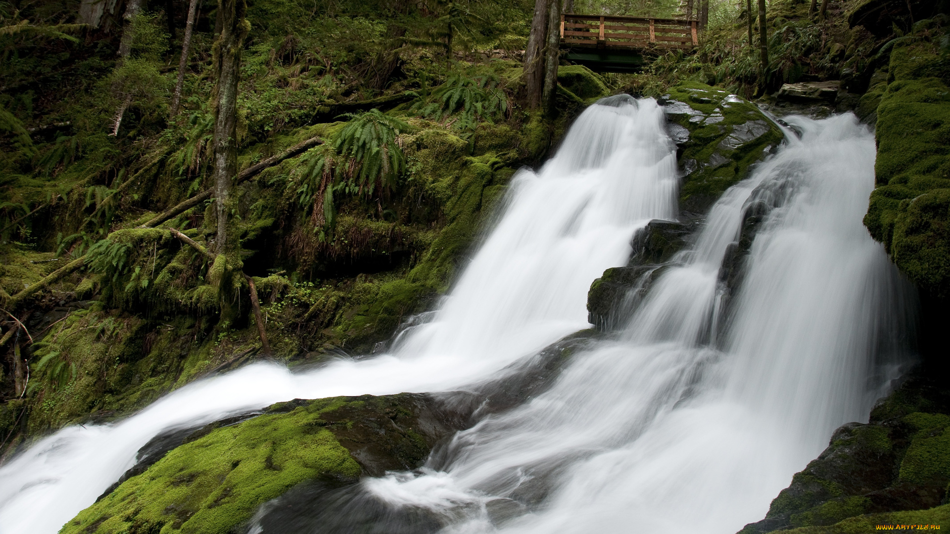 природа, водопады, поток, течение