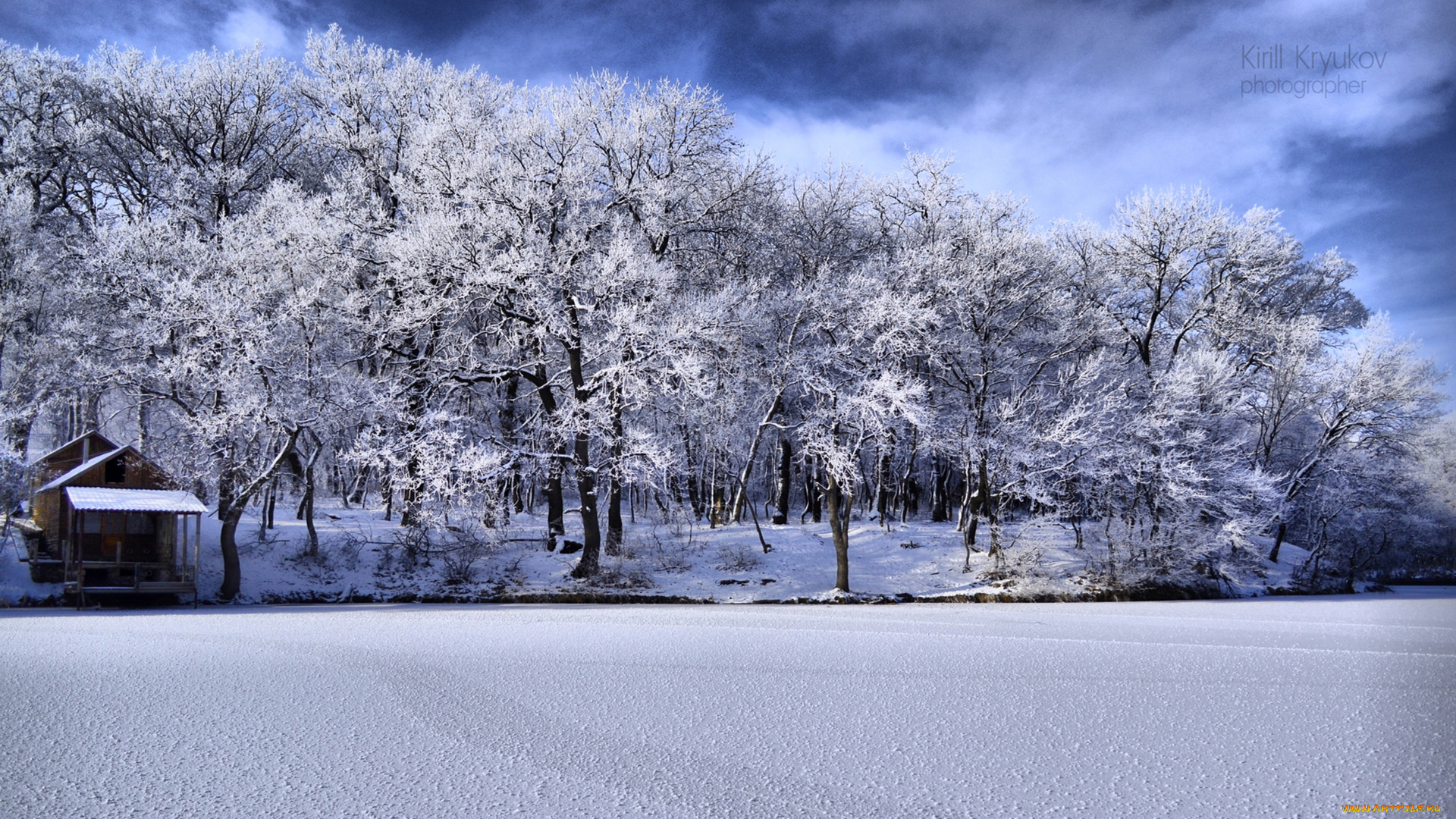 природа, зима, снег, лес, мороз