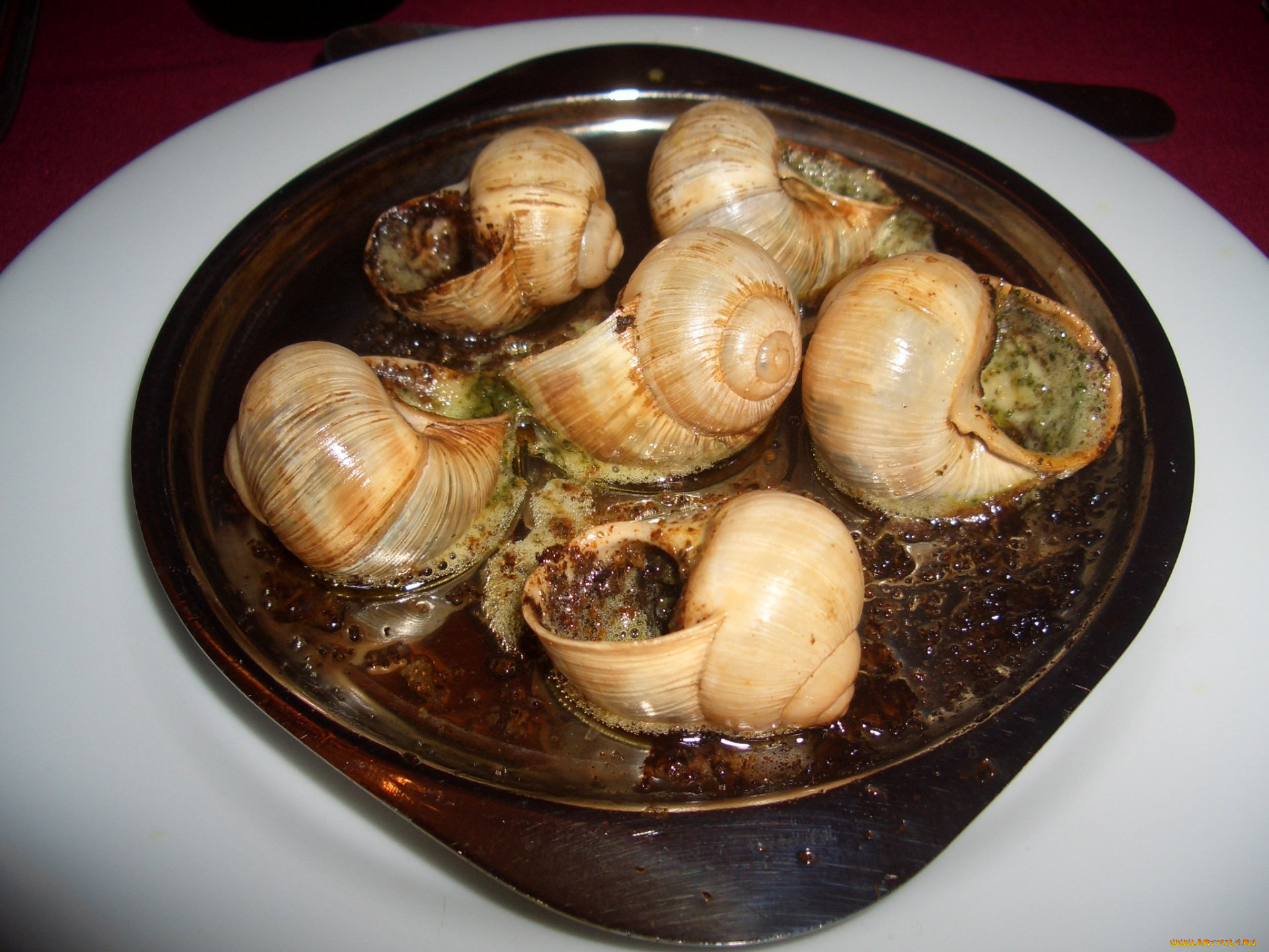 еда, рыба, морепродукты, суши, роллы, устрицы