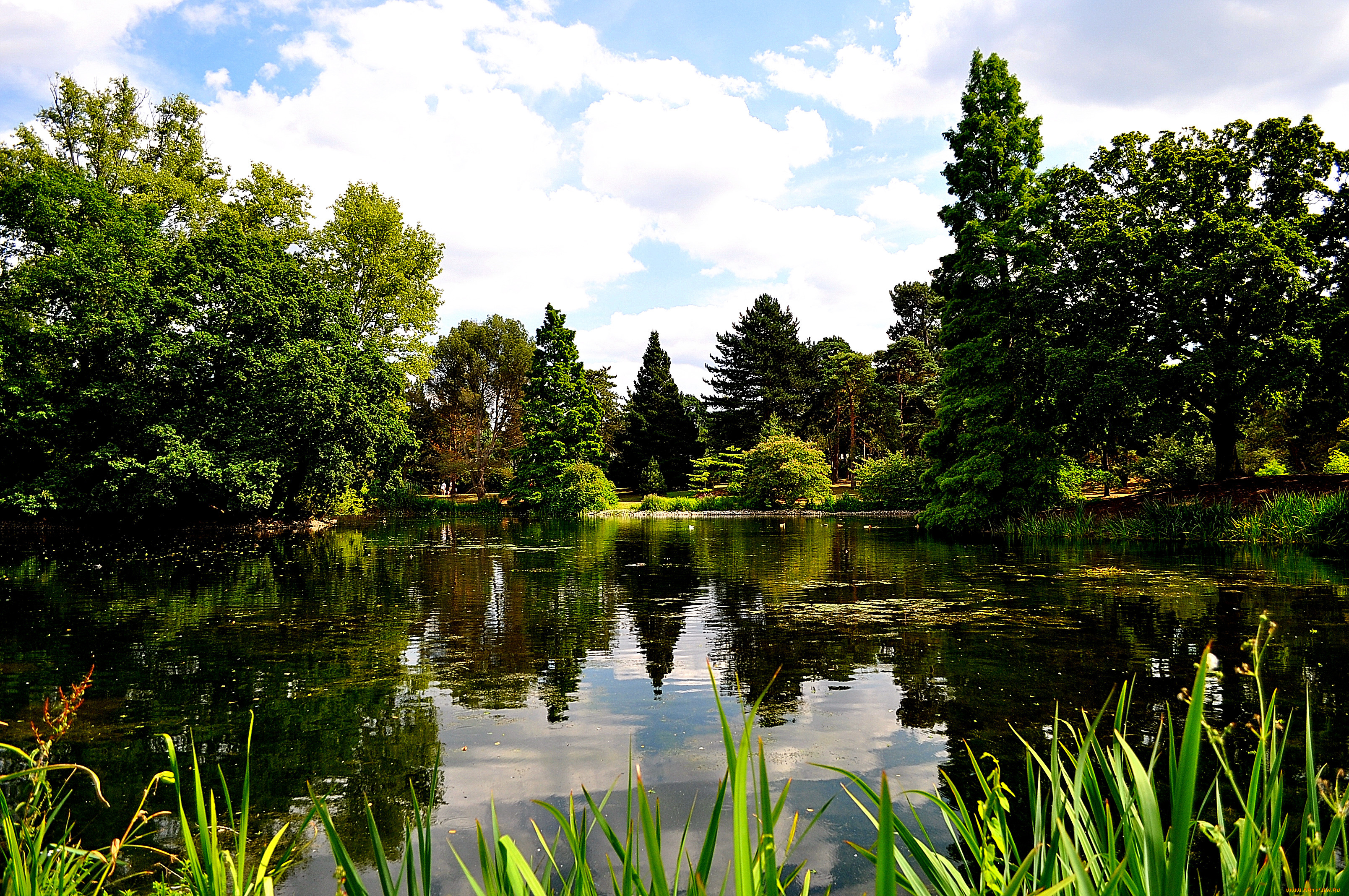 природа, реки, озера, озеро