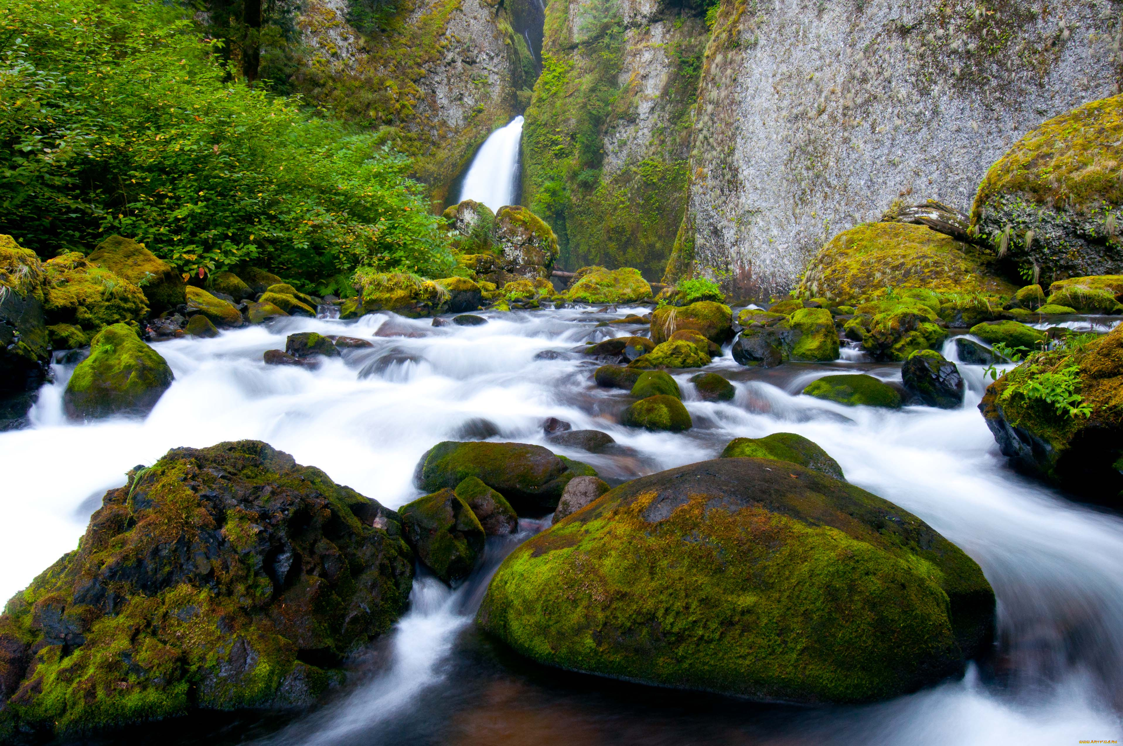 природа, реки, озера, камни, вода