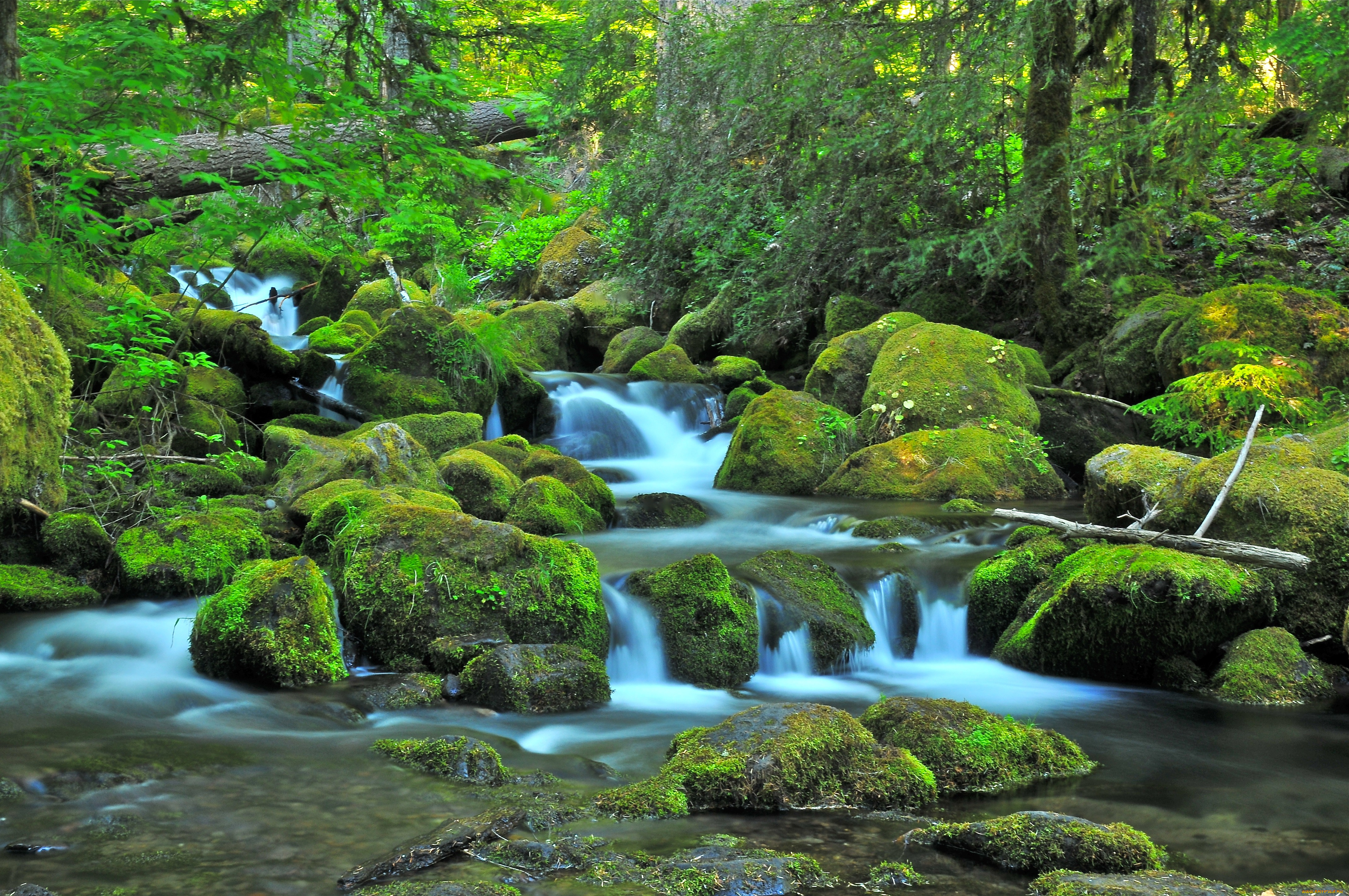 природа, реки, озера, течение, вода, поток