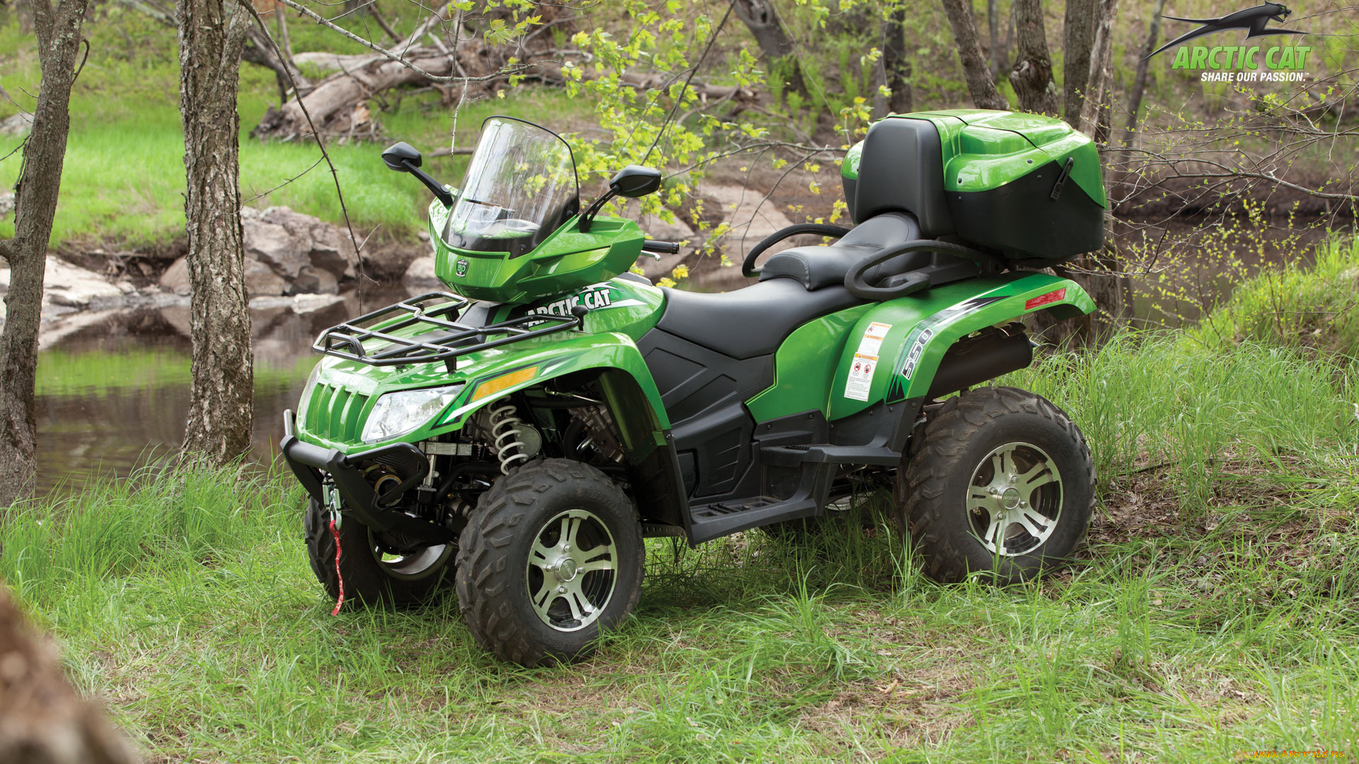 arctic, cat, мотоциклы, квадроциклы, квадроцикл