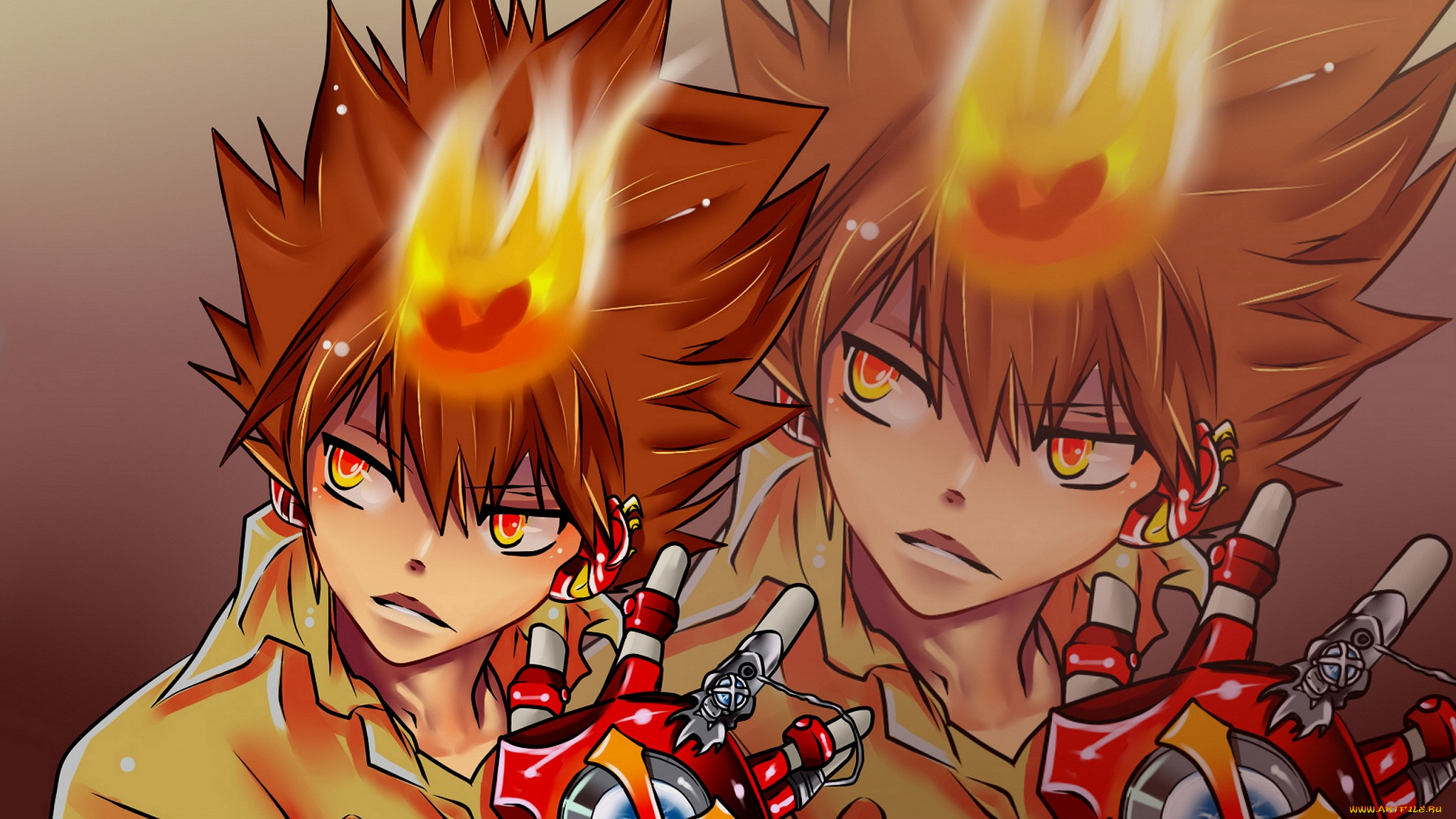 аниме, katekyo, hitman, reborn, перчатки, серьёзность, вангола, босс, взгляд, десятый, мафиози, реборн, учитель, спокойствие, тцунаёши, савада