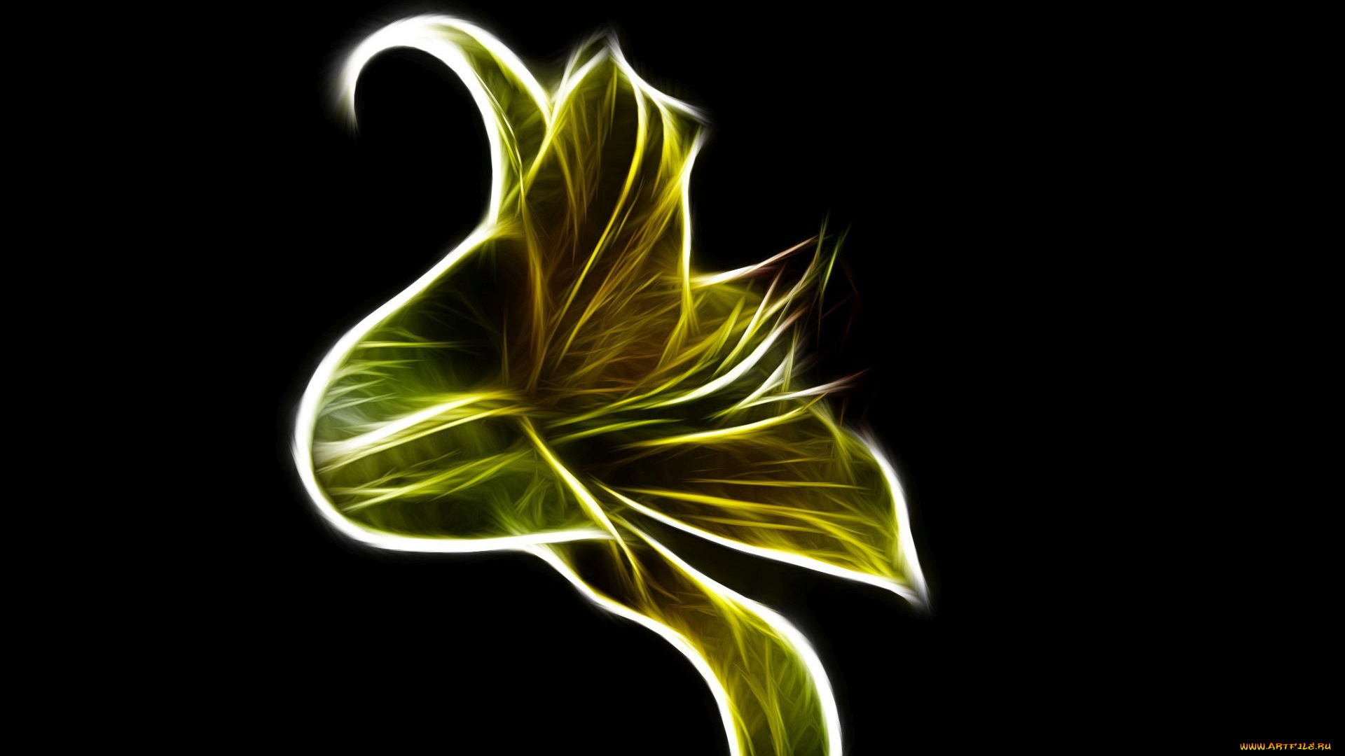 3д, графика, цветы, , flowers, лепестки, фон