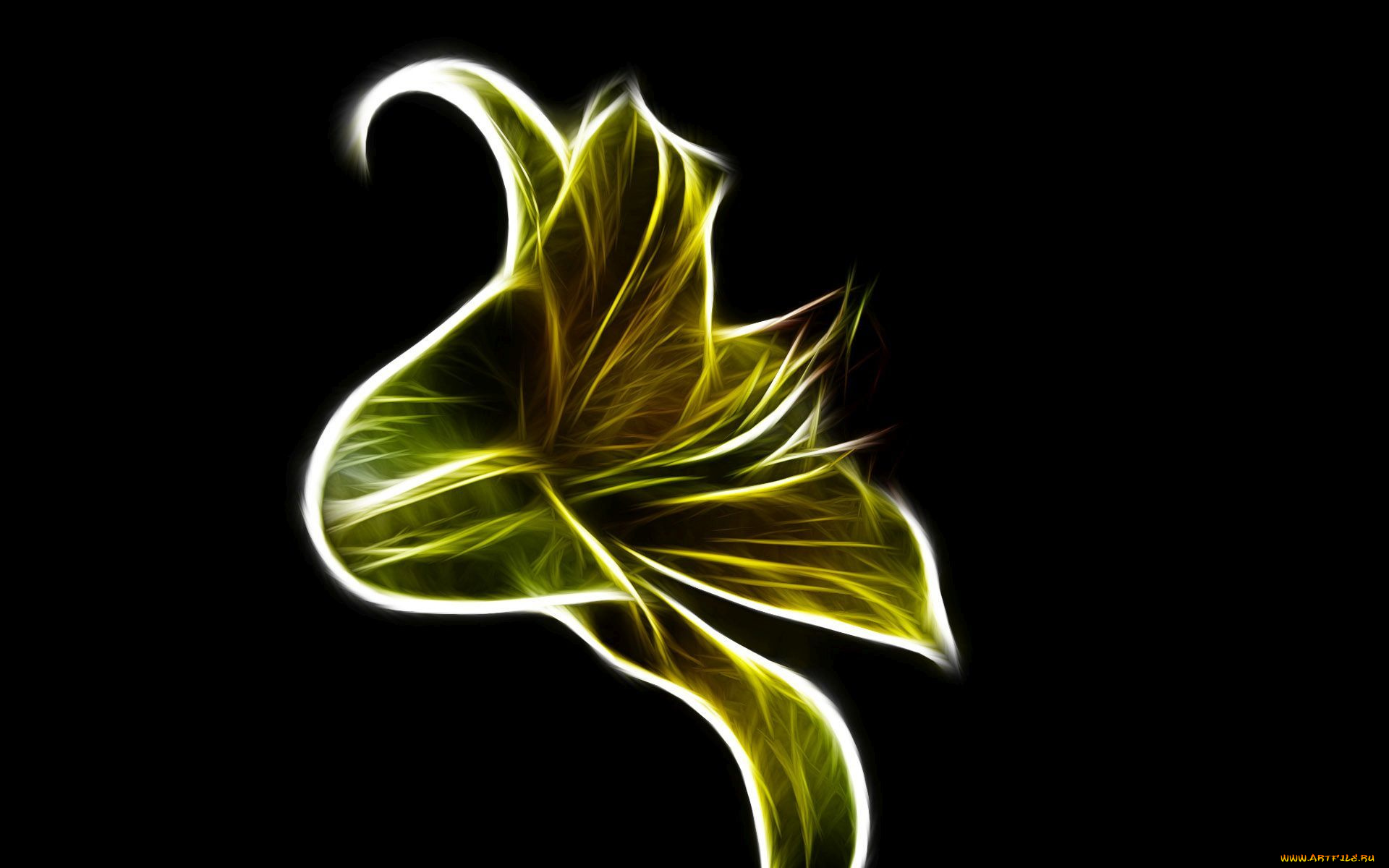 3д, графика, цветы, , flowers, лепестки, фон