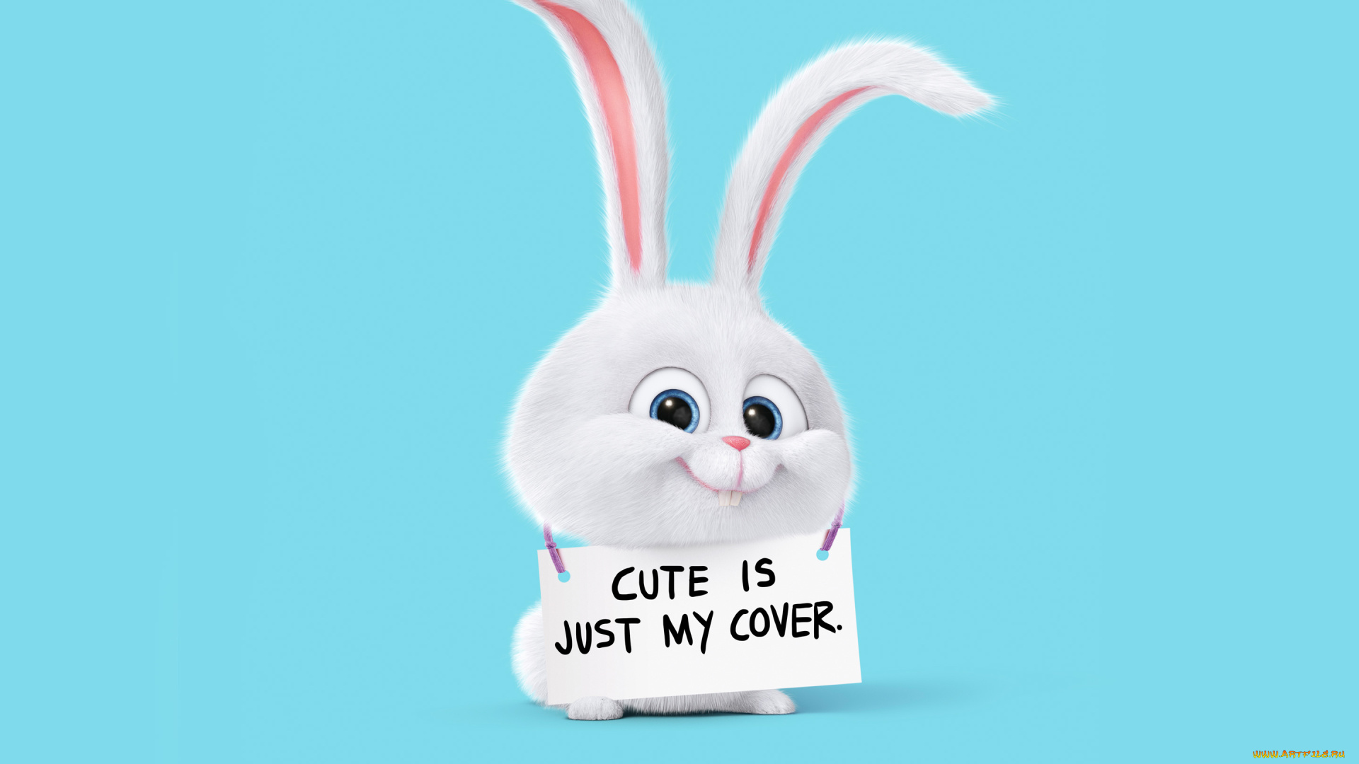 мультфильмы, the, secret, life, of, pets, the, secret, life, of, pets