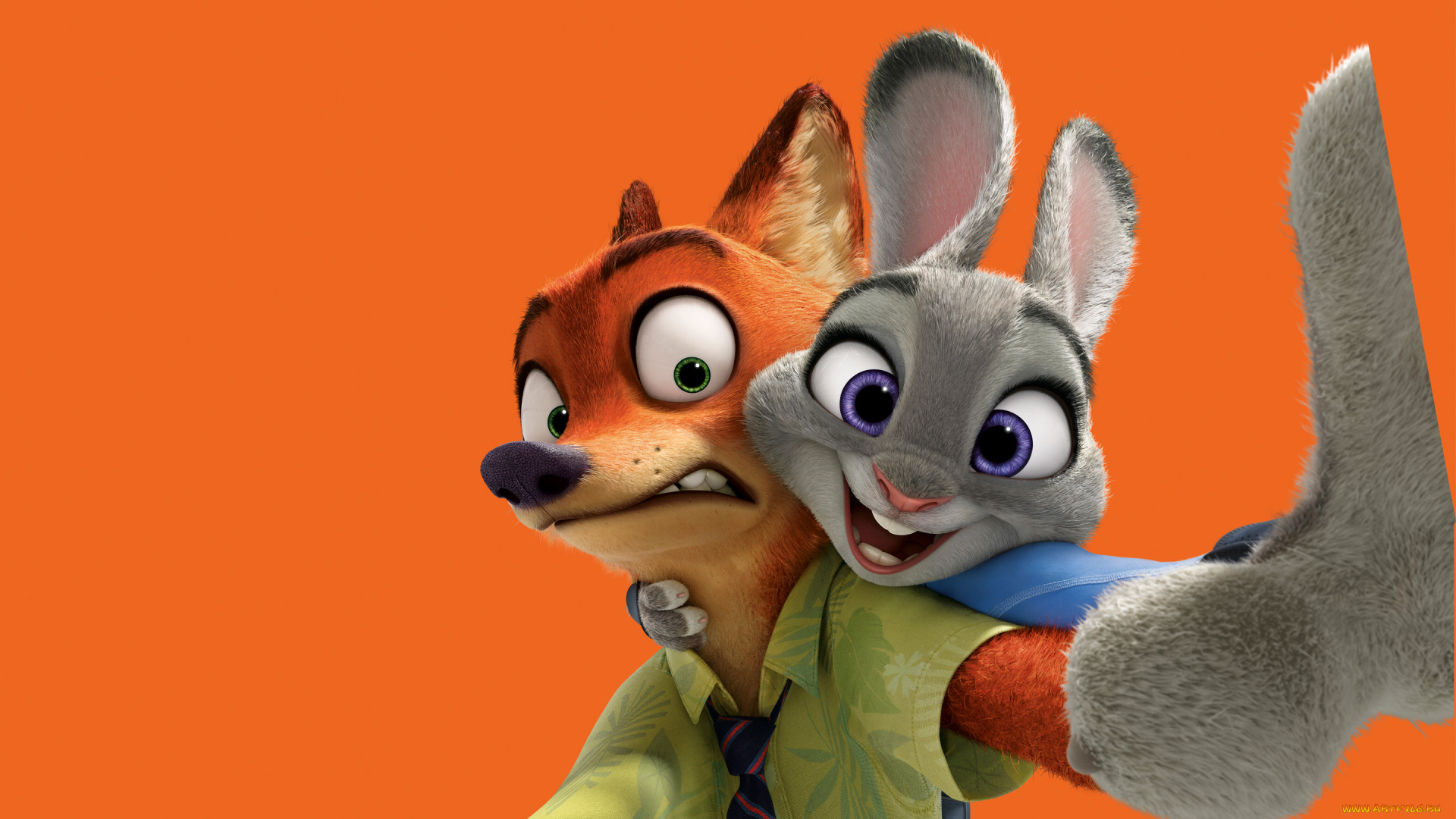 мультфильмы, zootopia