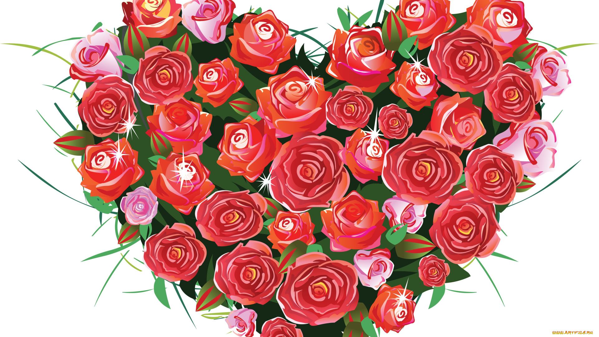 векторная, графика, цветы, , flowers, фон, розы