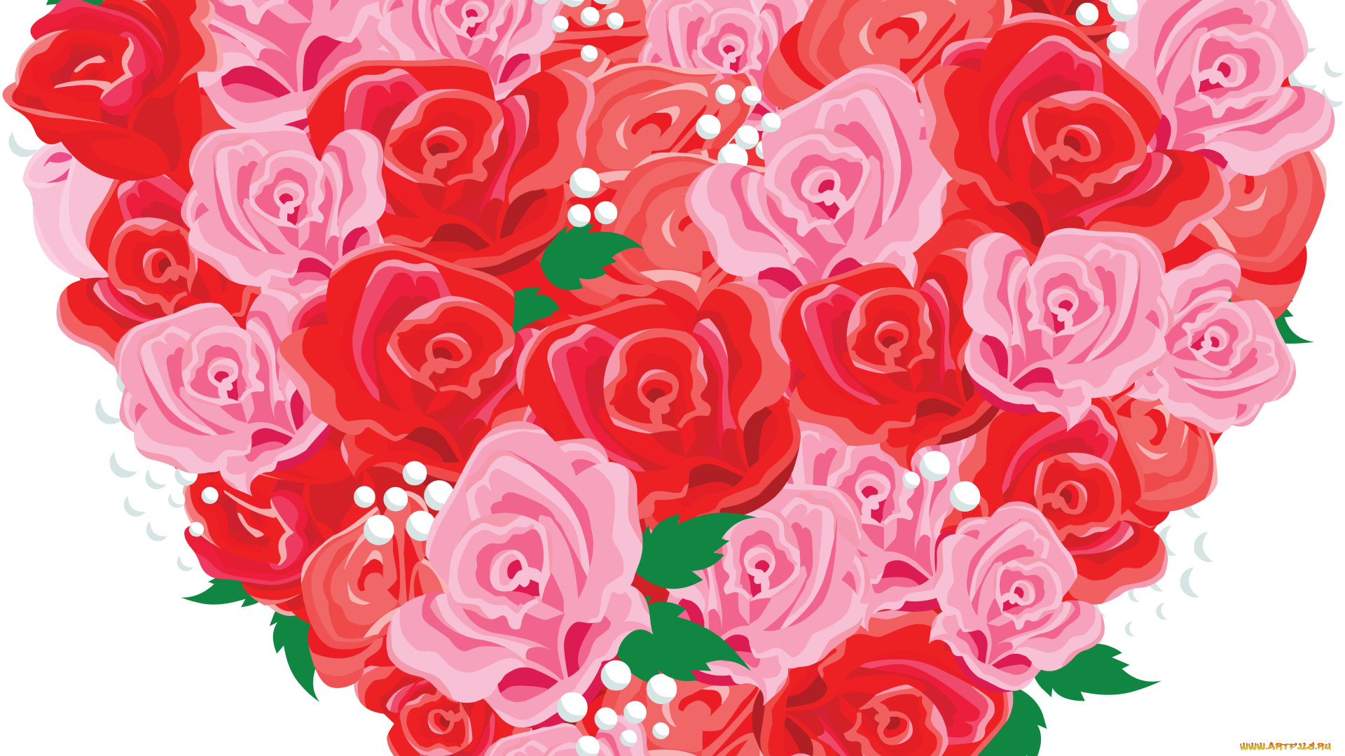 векторная, графика, цветы, , flowers, фон, розы