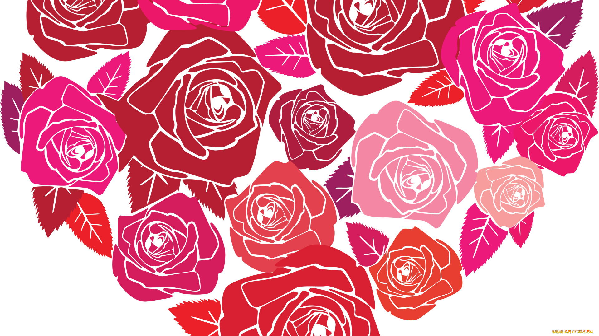 векторная, графика, цветы, , flowers, розы, фон