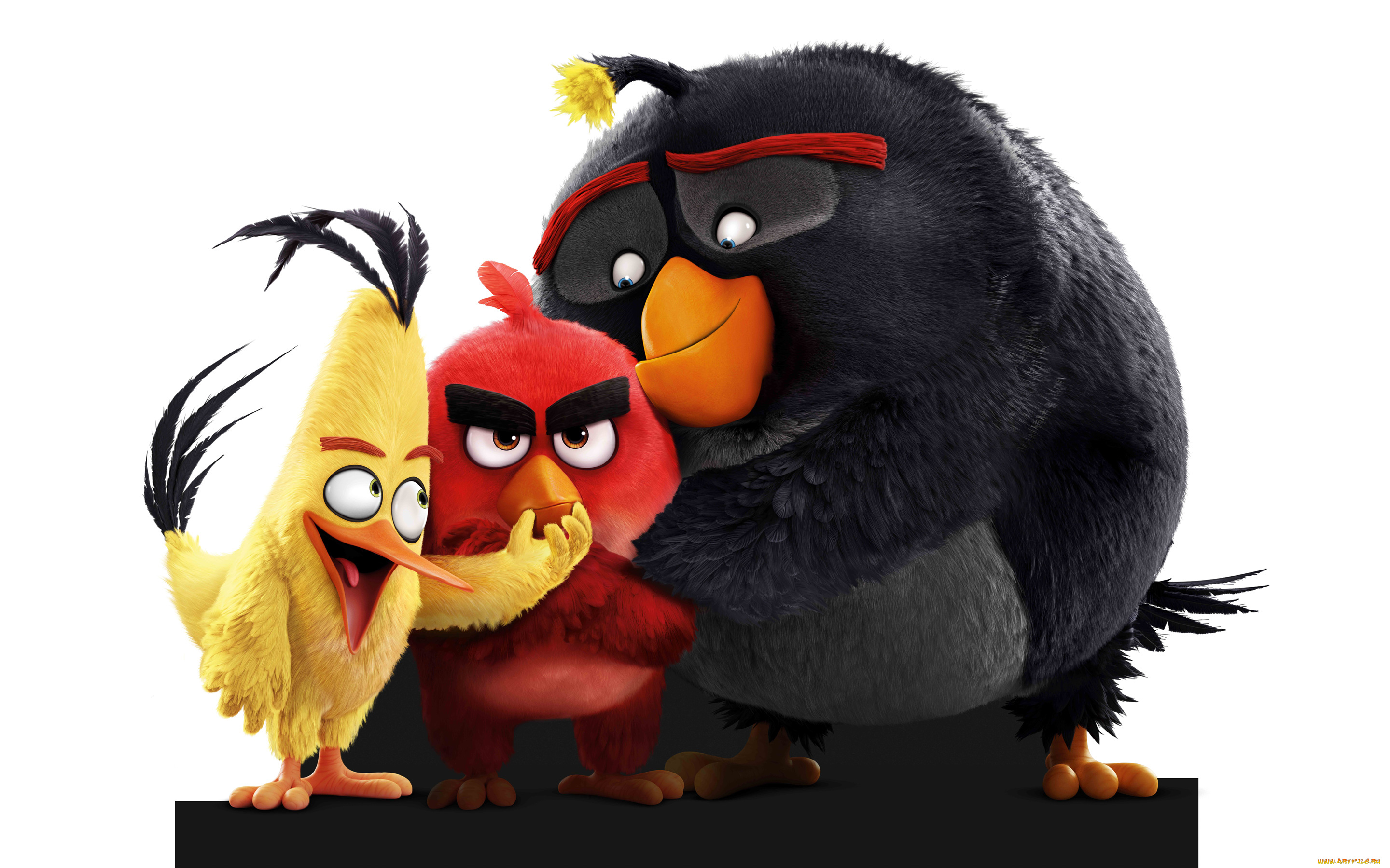 мультфильмы, the, angry, birds, movie, angry, birds, movie
