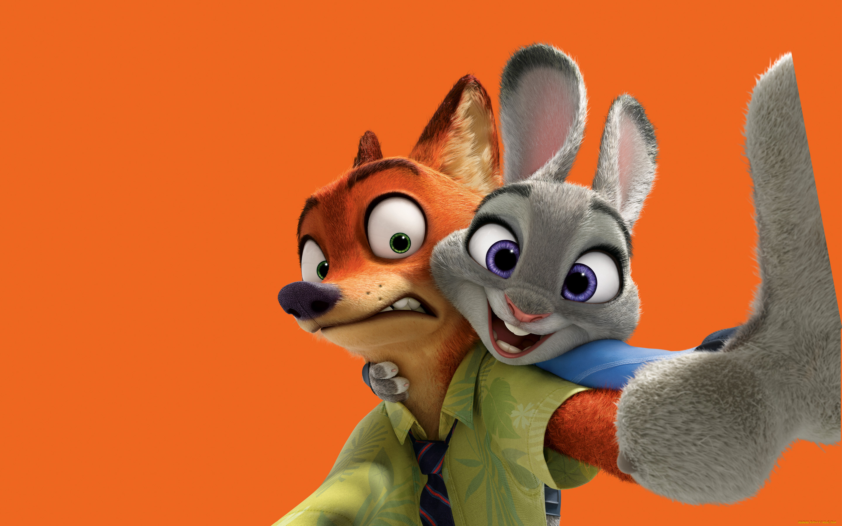 мультфильмы, zootopia