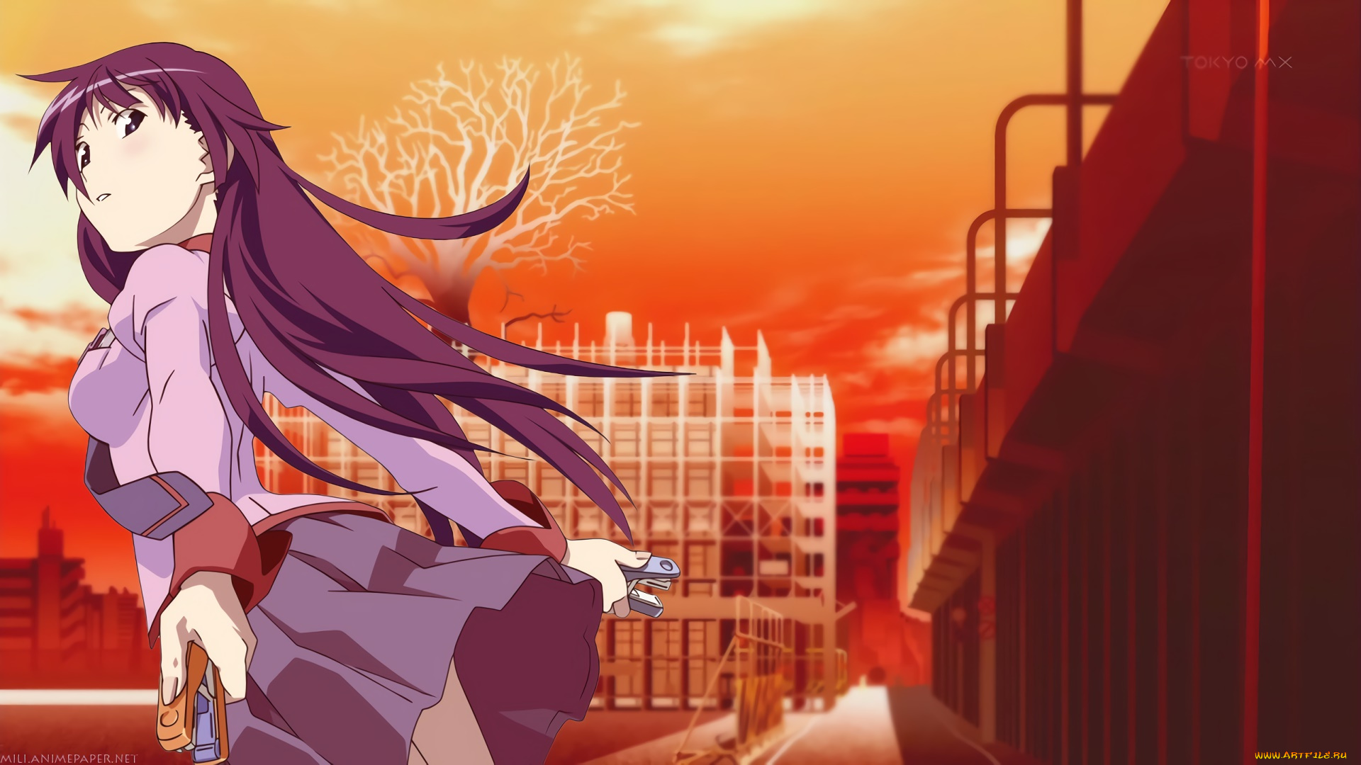 аниме, bakemonogatari, фон, взгляд, девушка