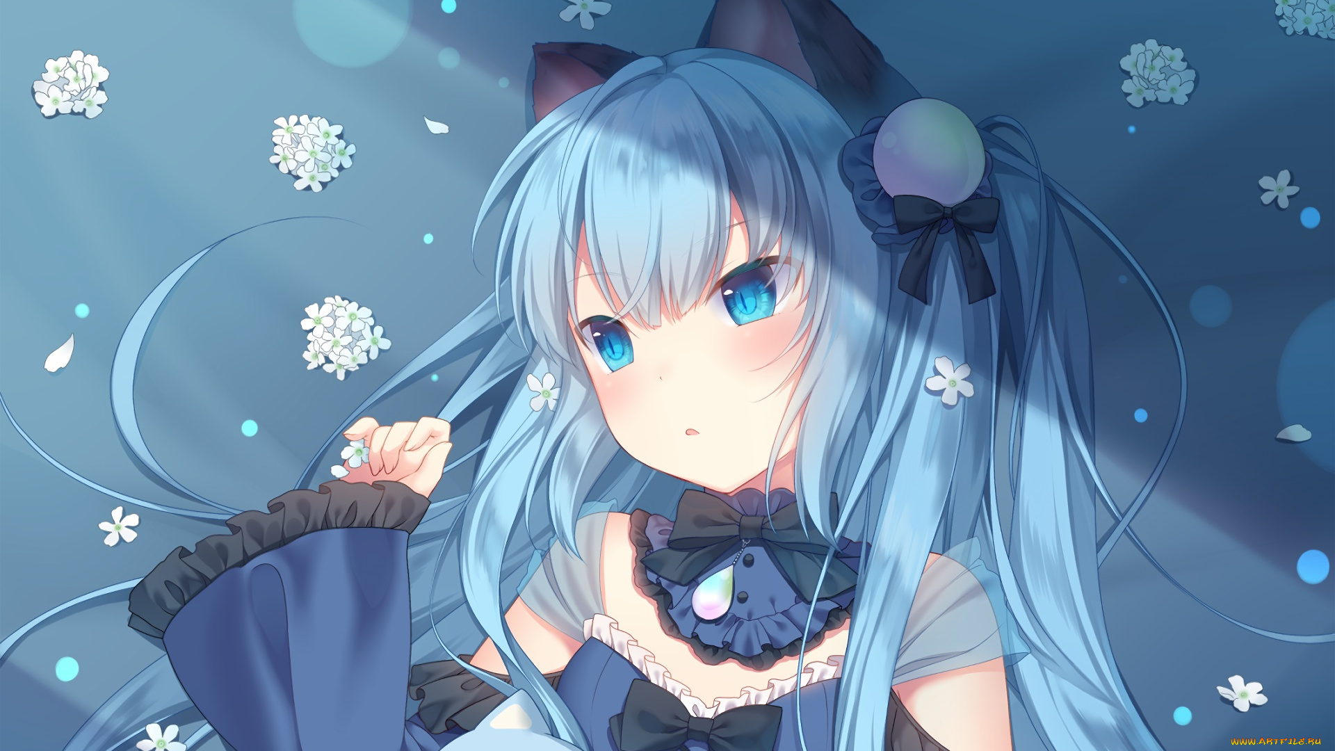 аниме, животные, , существа, фон, взгляд, девушка