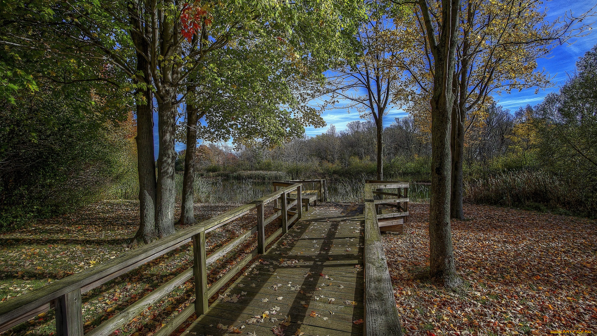 природа, дороги, тракт