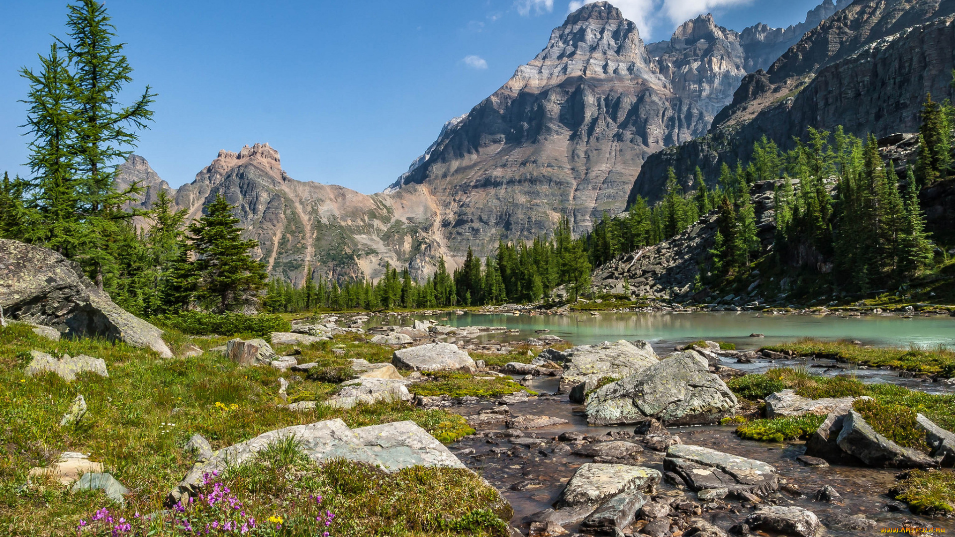 природа, горы, скалы