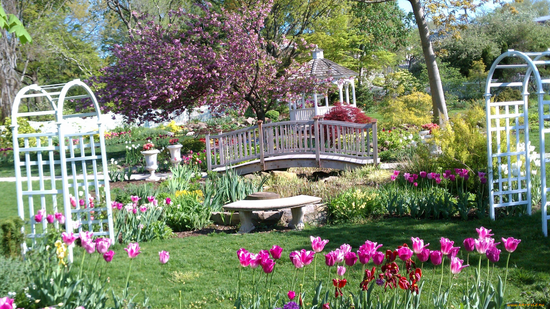 природа, парк, беседка, клумбы, весна