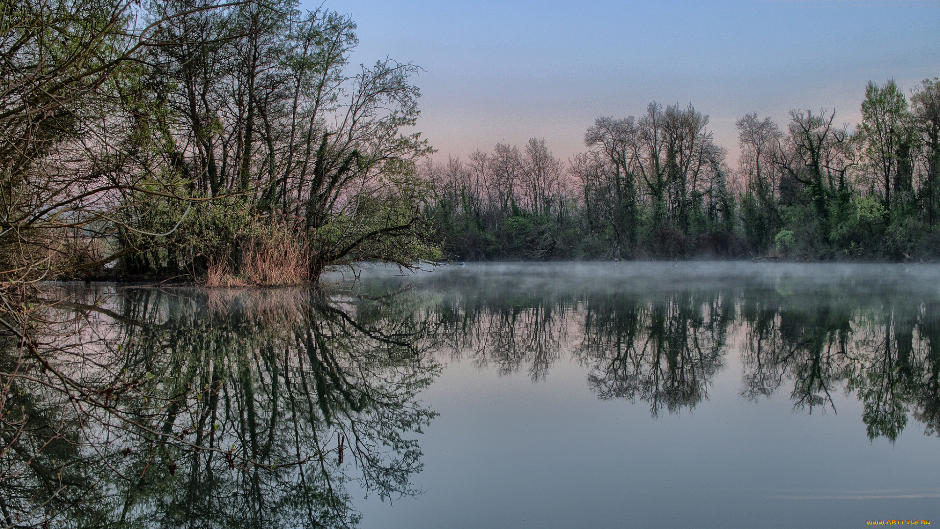 природа, реки, озера, лес, река