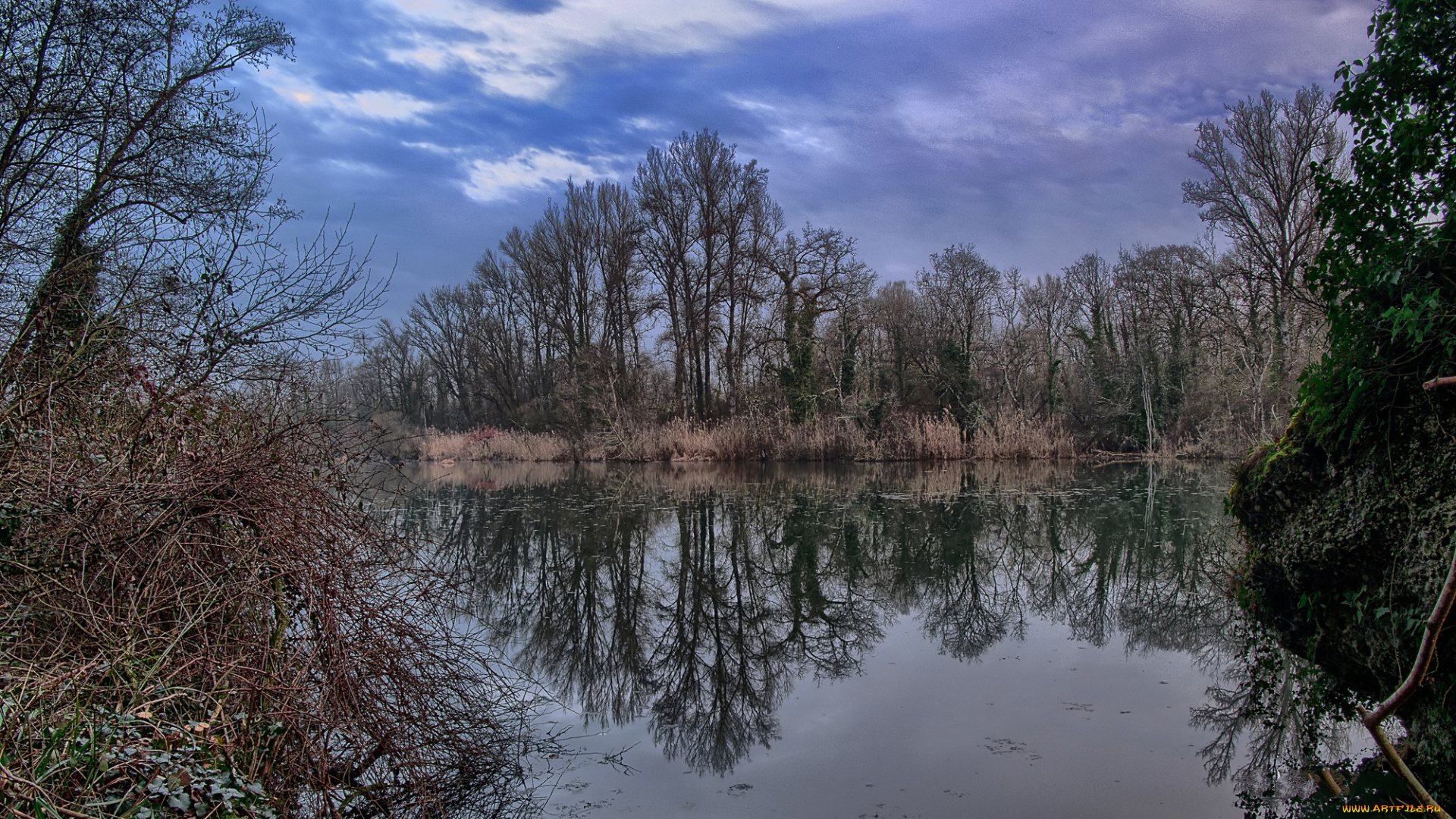 природа, реки, озера, рассвет